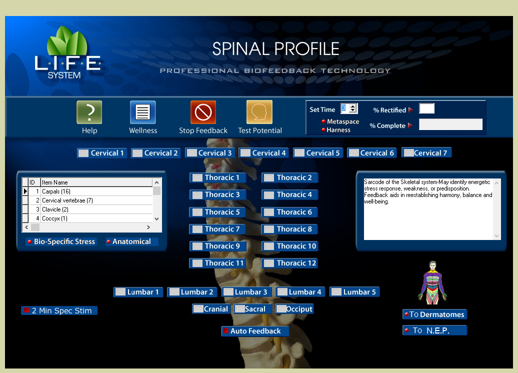 spinal.png