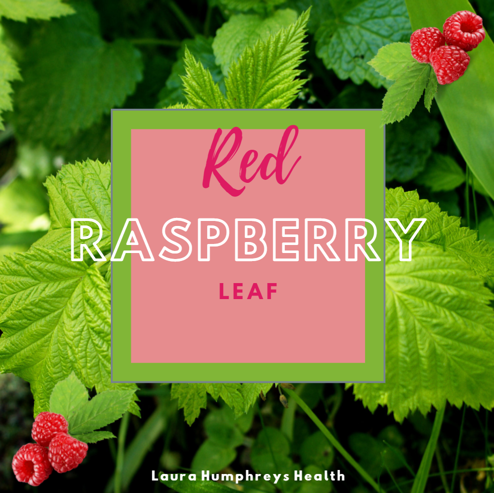 Raspberry Leaf