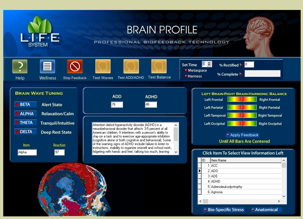 Brain &amp; Cognitive Scan