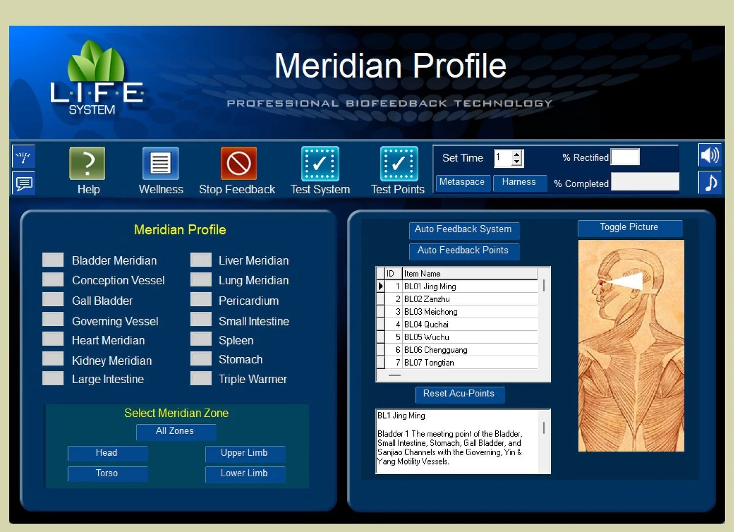 Meridians &amp; Energy Pathways Scan
