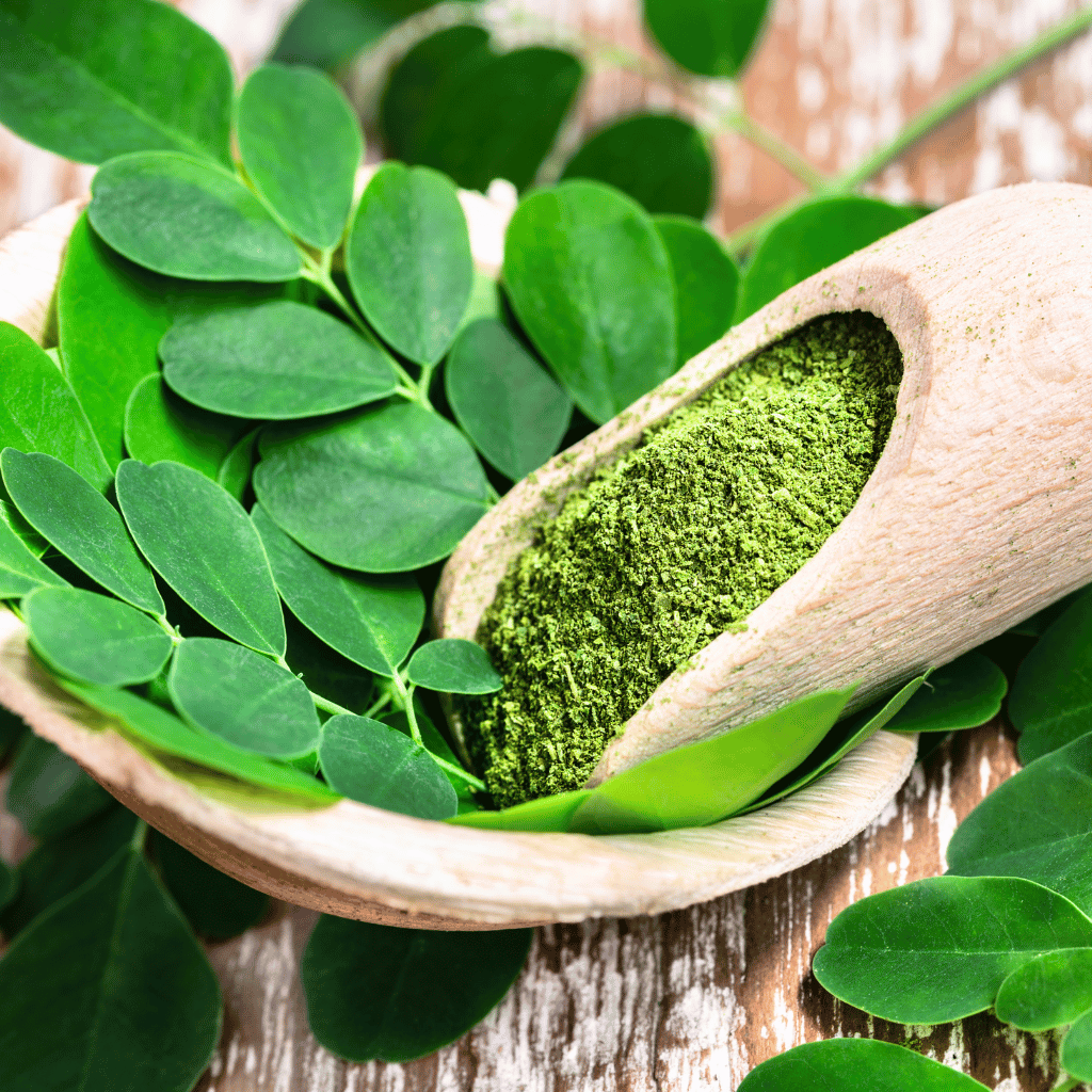 Moringa.png