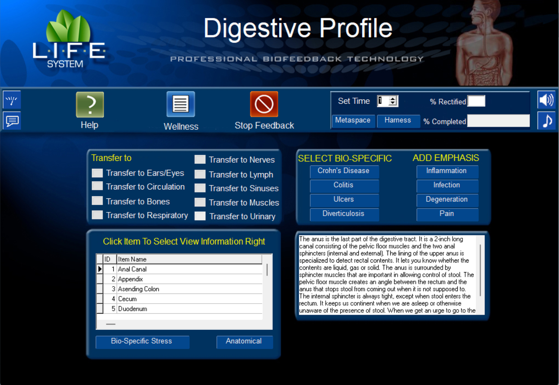 digestive-scan.png