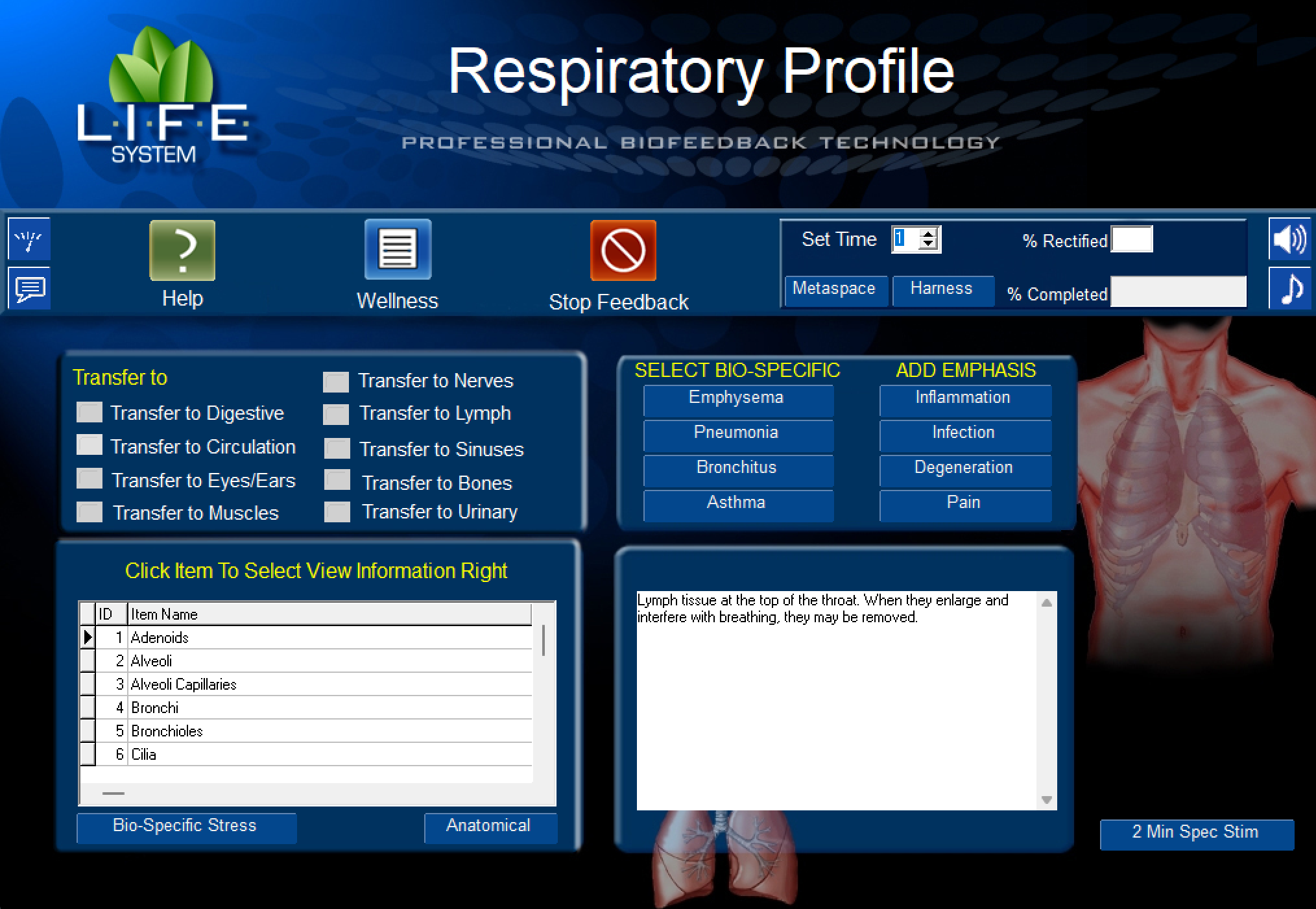 Respiratory Scan.png