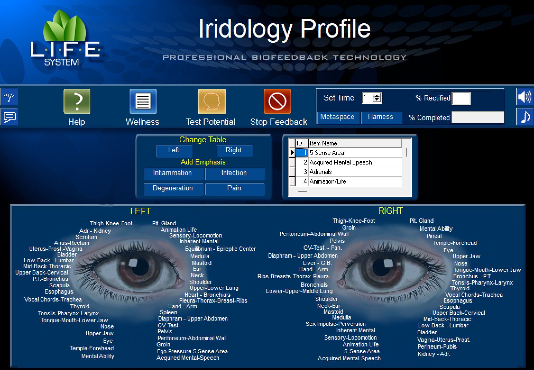 Iridology Scan.png