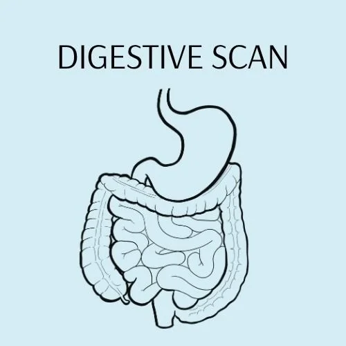digestive scan.jpg