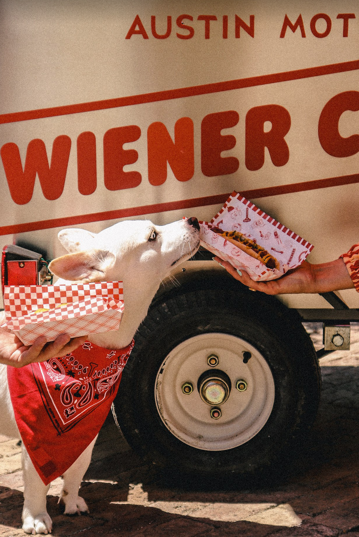 Screen Shot 2023-08-11 at 11.29.24 AM.png