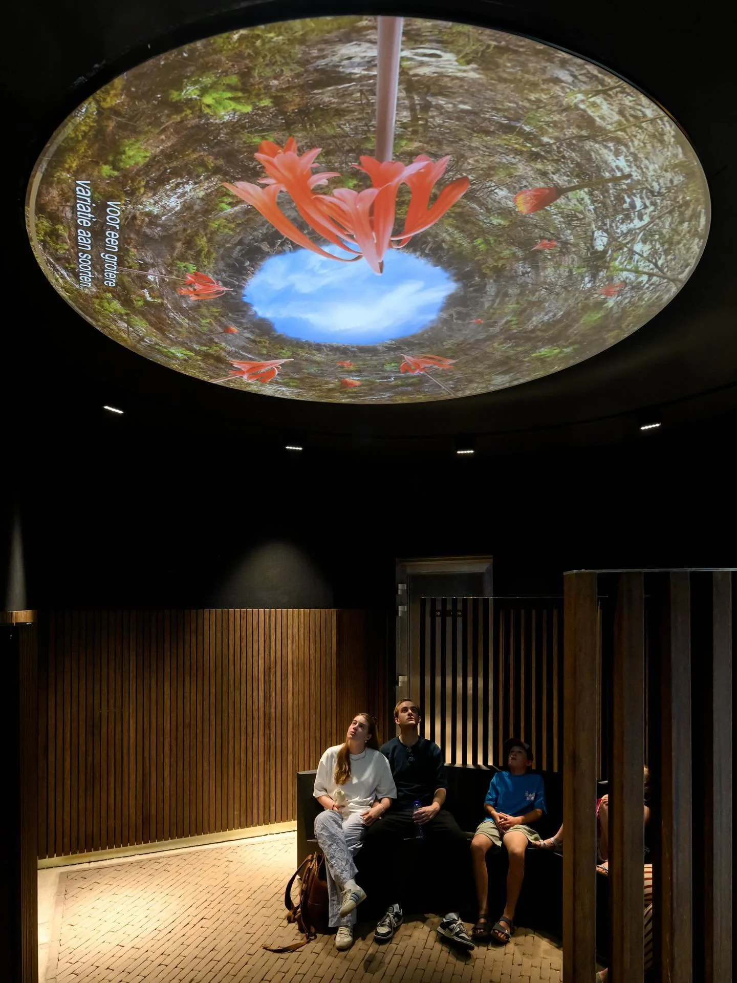 The Climate Greenhouse at @hortusamsterdam has reopened after a major renovation. Originally built in 1993, it has been transformed into a sustainable, CO₂-neutral public greenhouse. 

In a new building, visitors can now walk through three distinct c