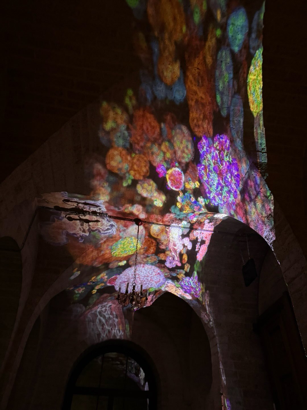 &ldquo;Tiny Revelations&rdquo; has opened at the Nicola&iuml;kerk in Utrecht! It is a pop-up exhibition that brings together science, art and philosophy, based on the groundbreaking work of Anne Rios and her team at the Rios Group of the @prinsesmaxi