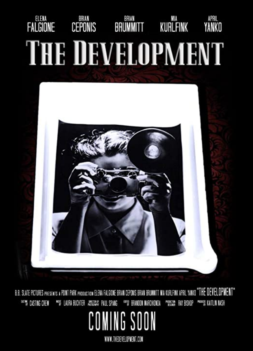 The Development (2018).png