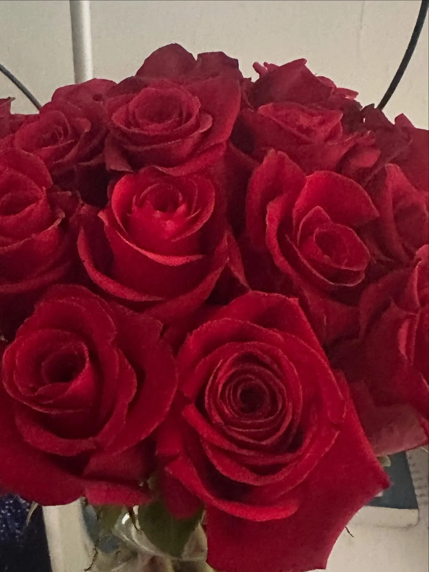 A belated Happy Birthday post to my flower giving, late night tree trimming, source of constant fun and laughter, adventuring, faithful and prayerful, encouraging, equally head strong, leading, music loving, singing, friend, family man, my hype man- 