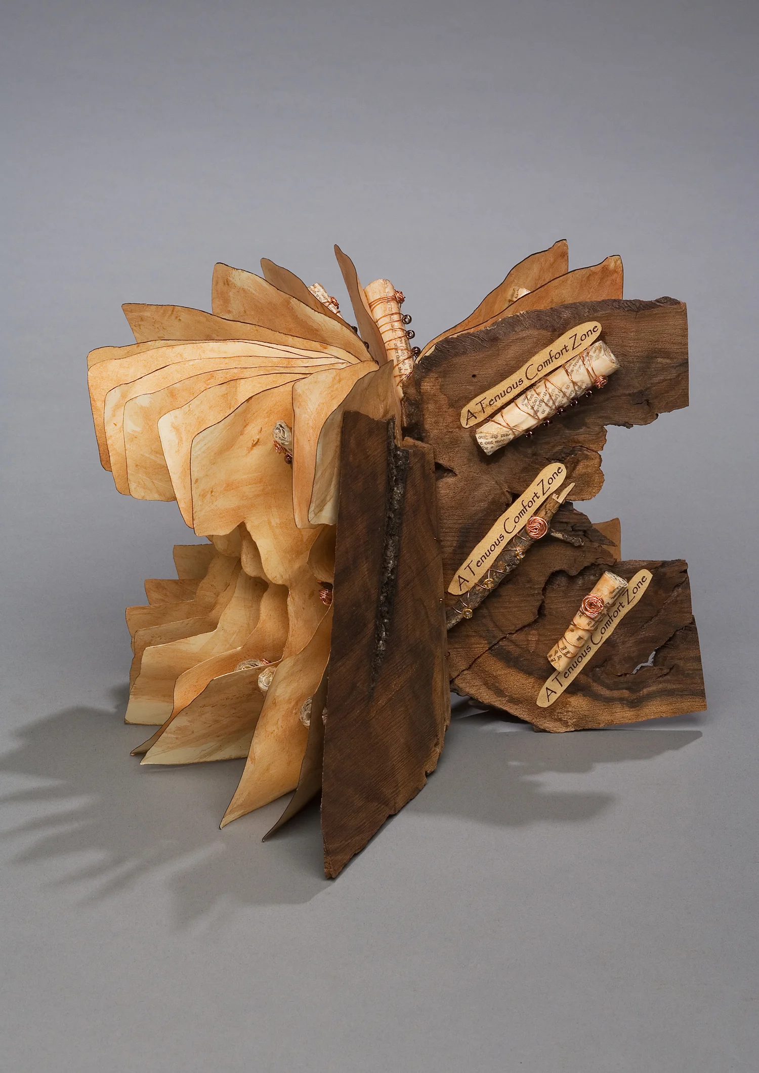 Tenuous Comfort Zone.jpg