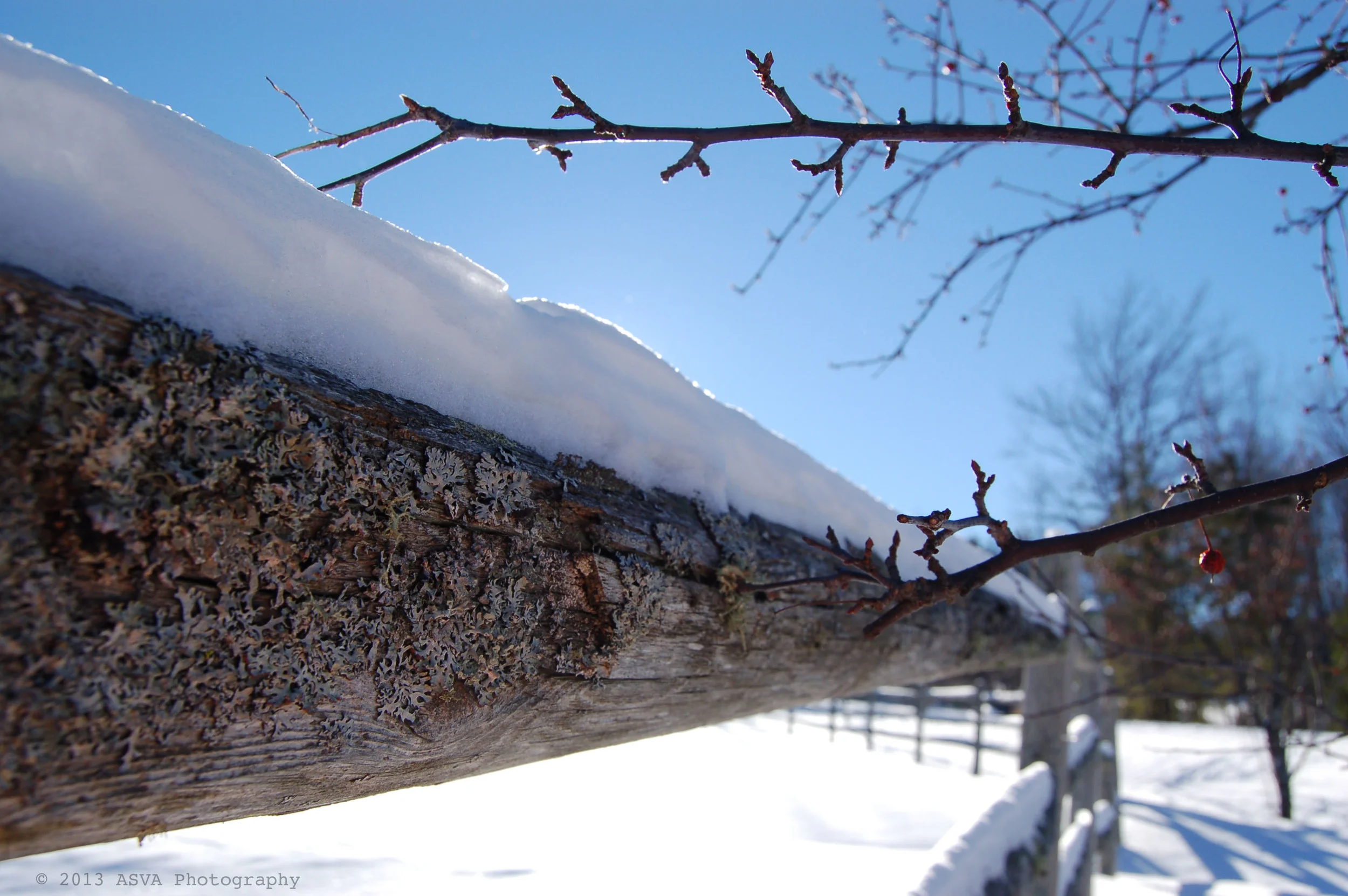 fence 2 infinity_edited-1.jpg