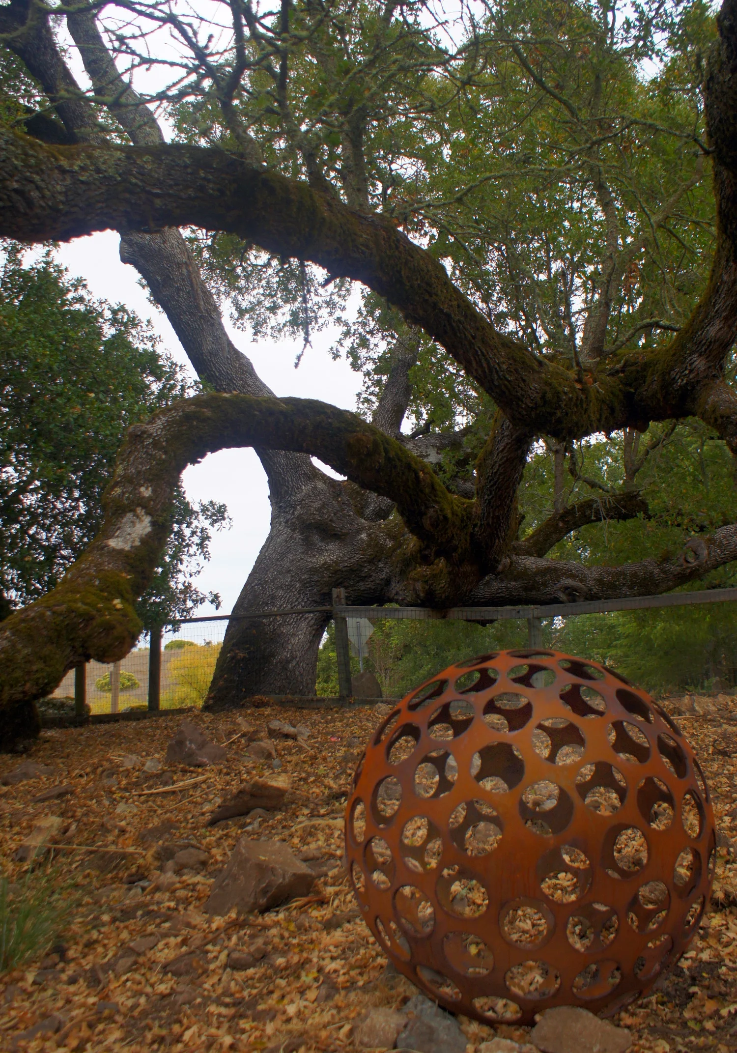 37 inch sphere