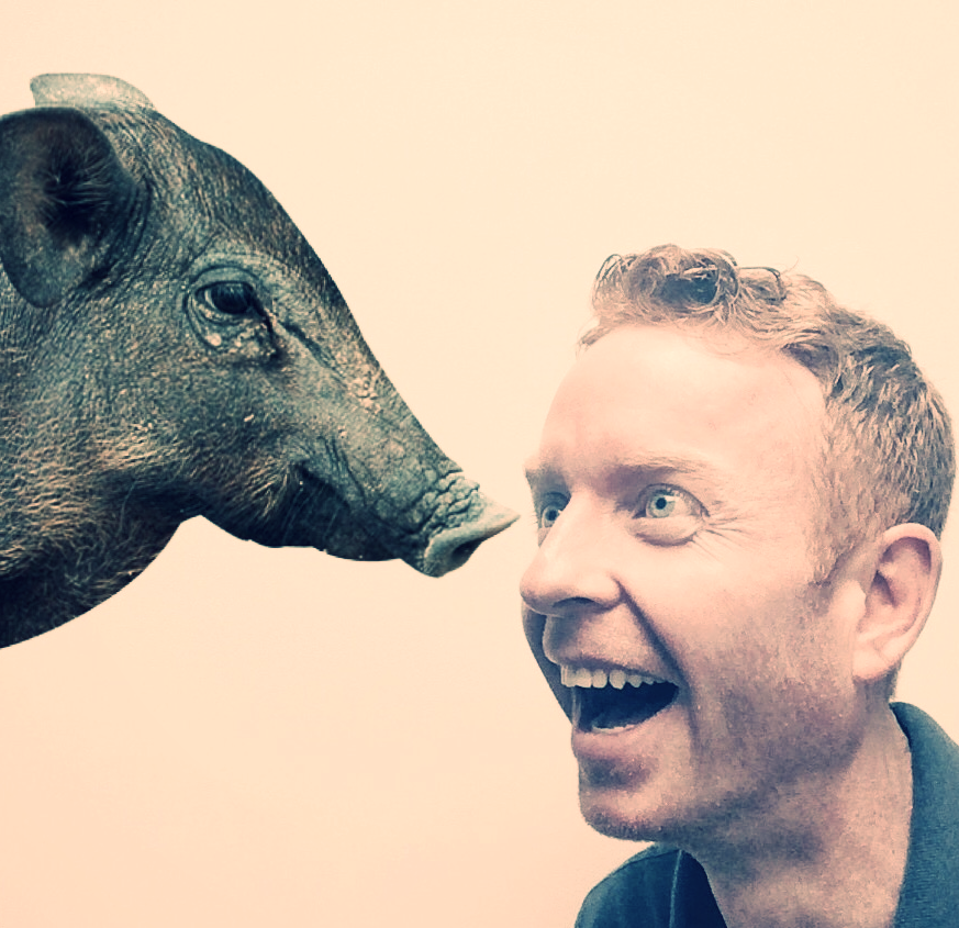  From Left To Right: A Pig, "East Side" Dave McDonald