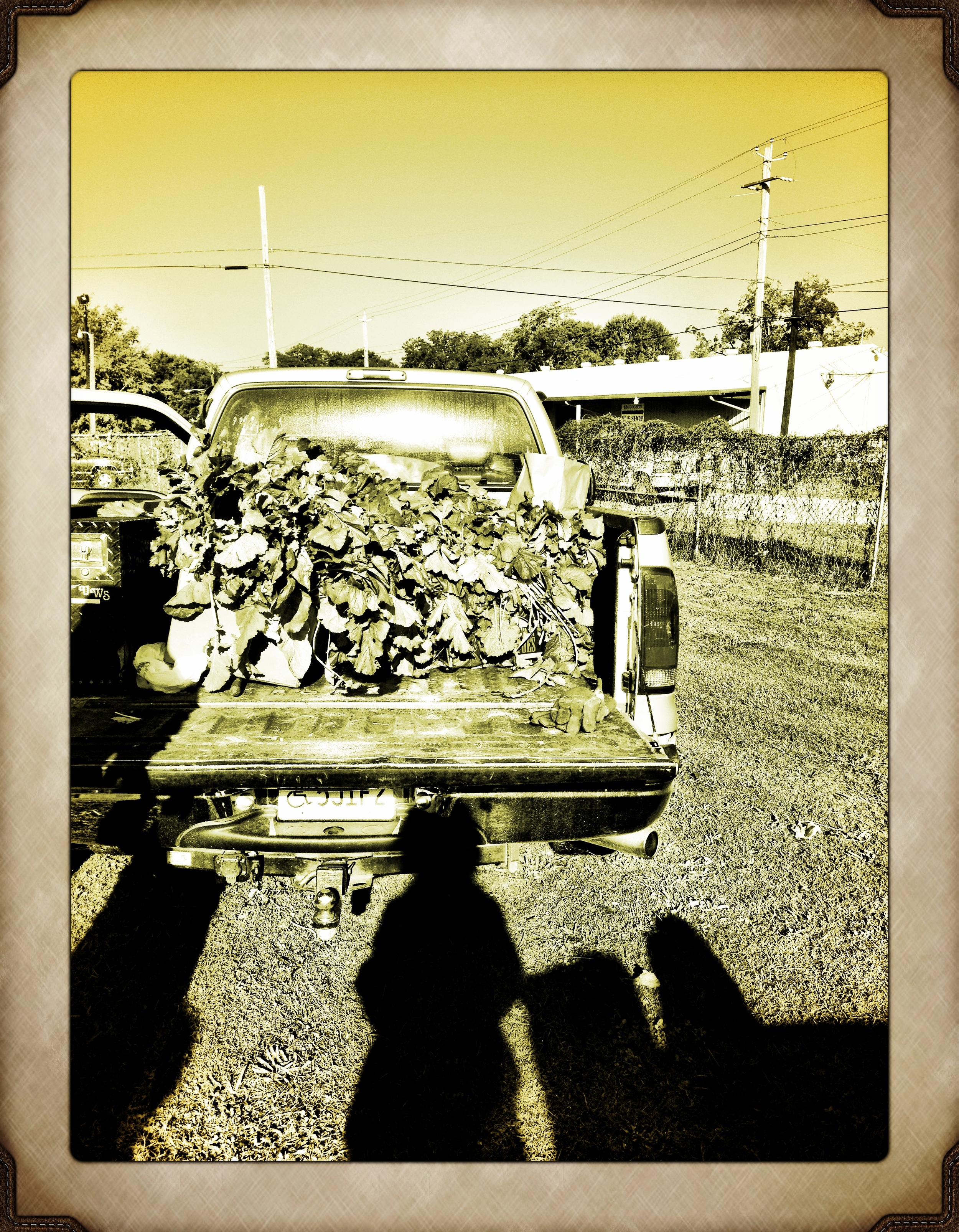 Fruits from the labor of Love.