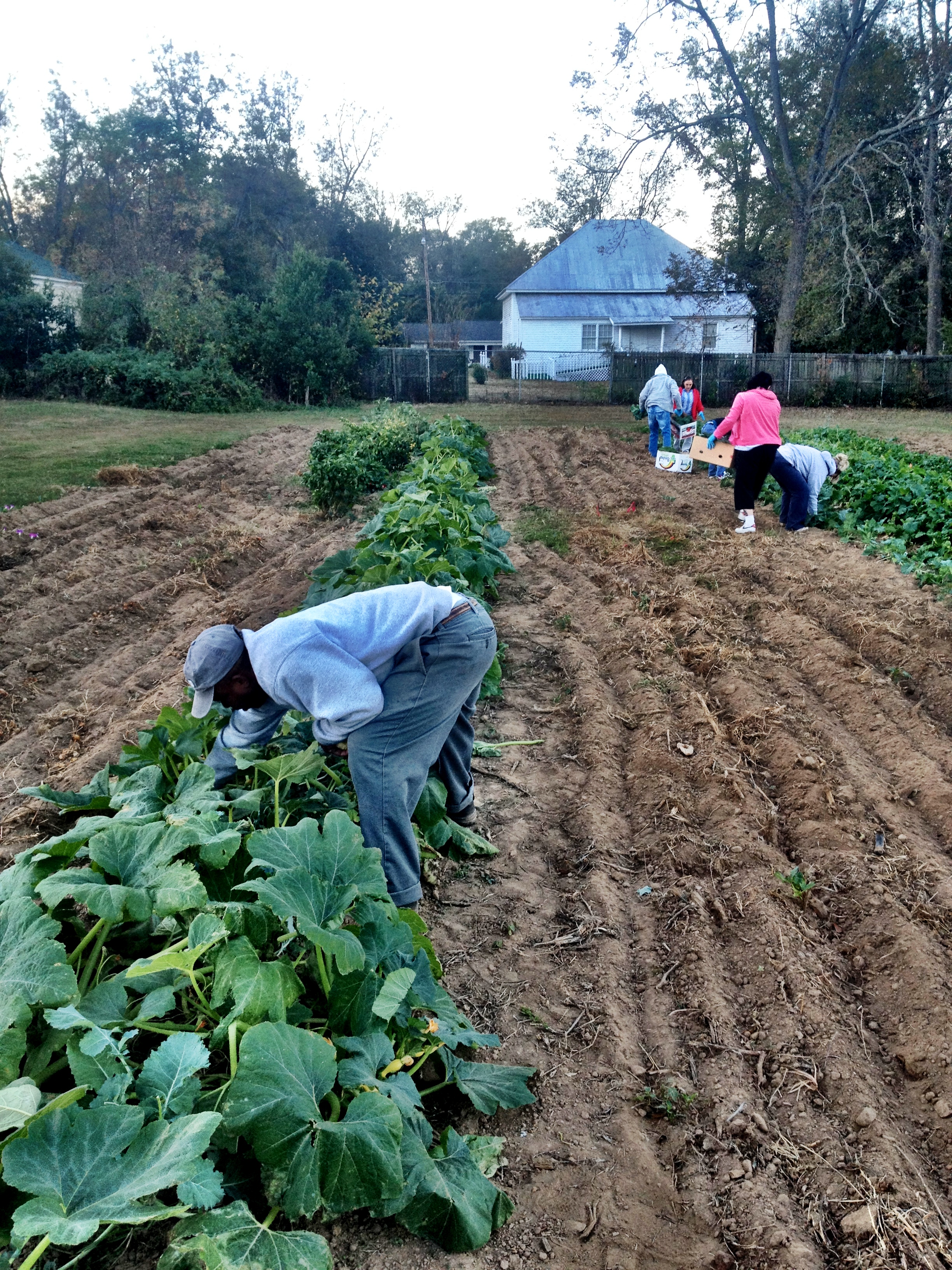 Men and Women from the Carpenter shop working in the garden.