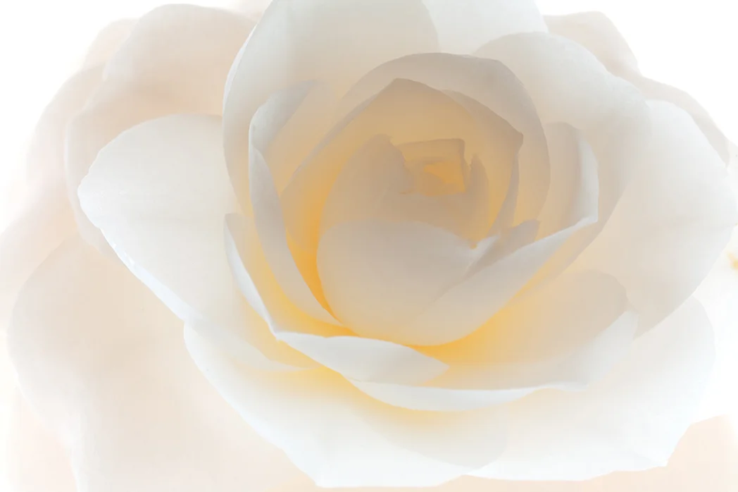 C0625-27HDR2.jpg