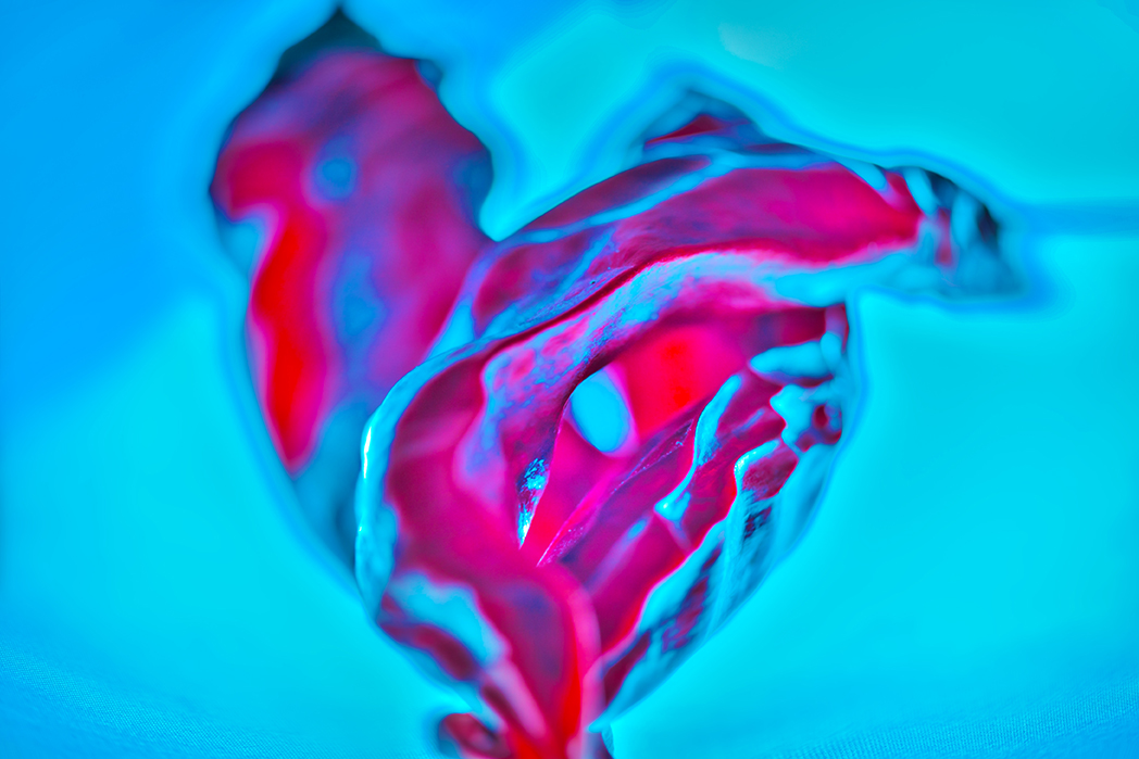 Image No.C0992-1000HDR2
