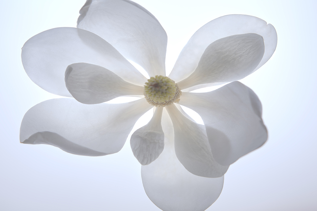Image No.C1084-91HDR2