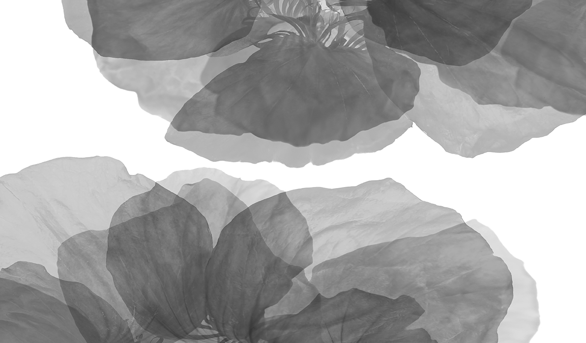 Image No.C129830305d.b&w