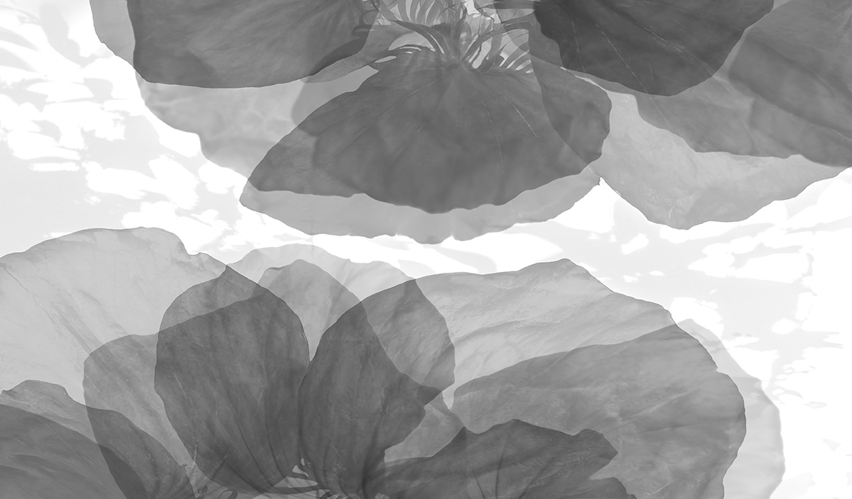 Image No.C129830305f.b&w