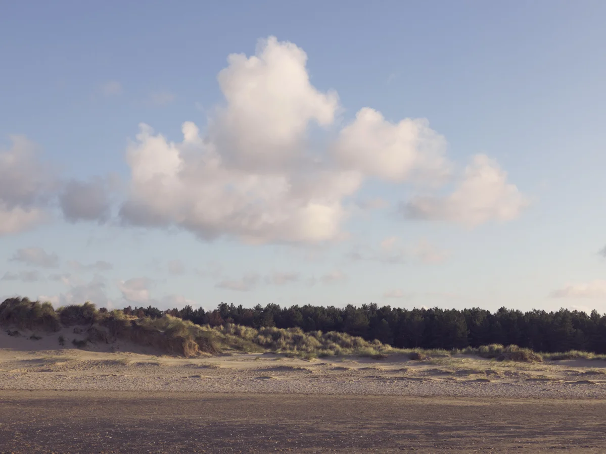 Norfolk Landscape - Photographed for part of the 'Live In Levi's' Campaign