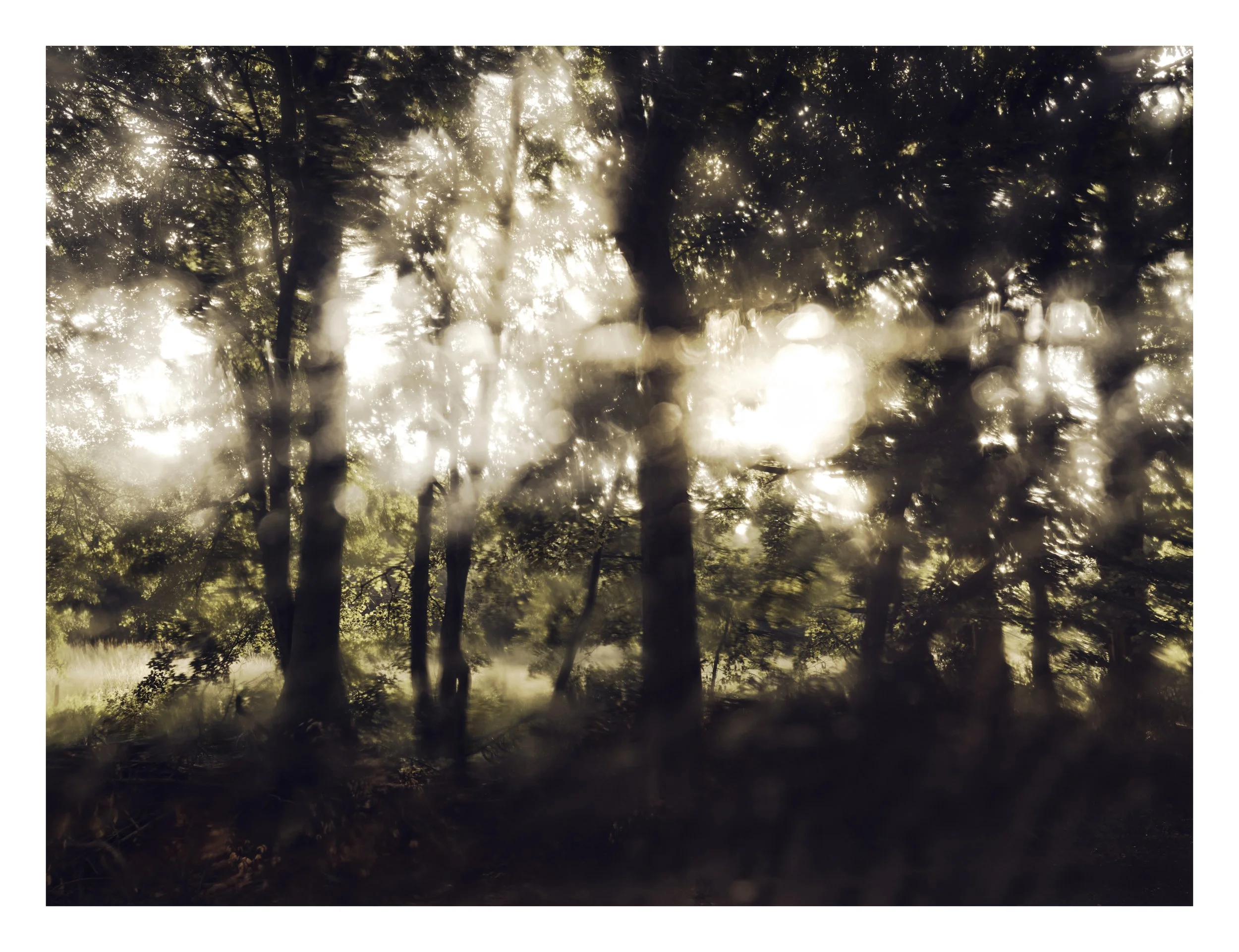 From here on in #004/