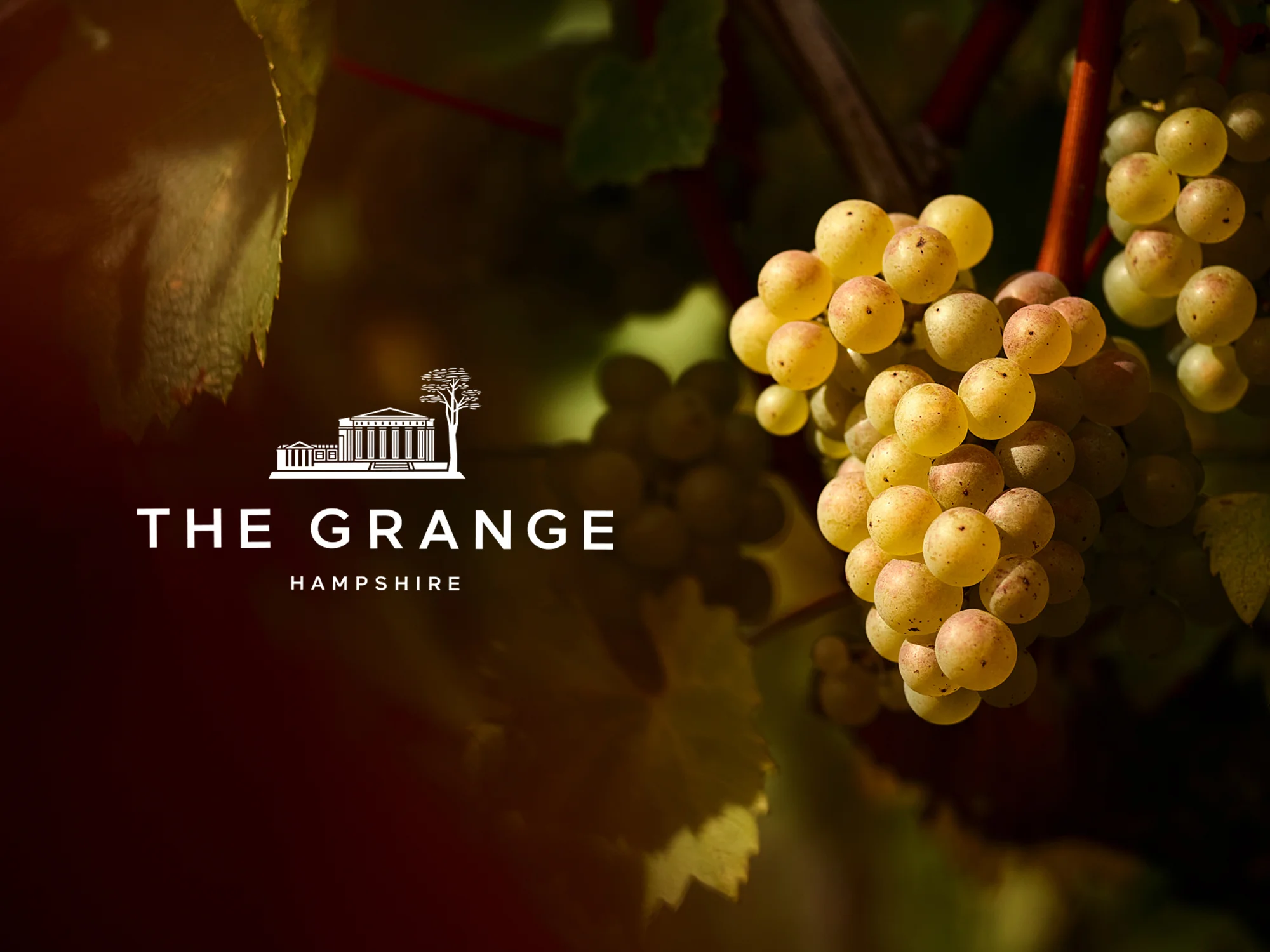 The_Grange_071018_0193.jpg