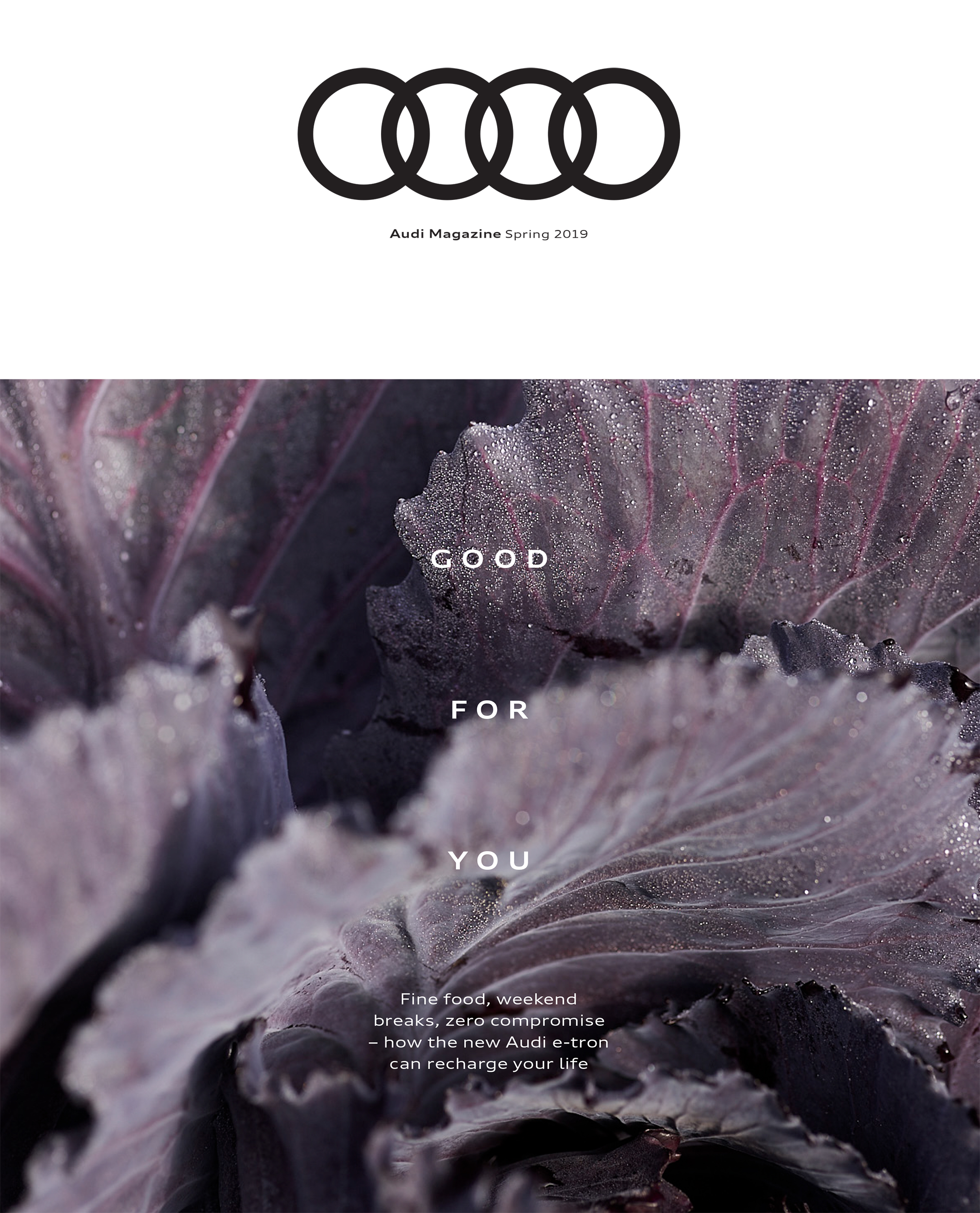 Audi Magazine / The Pig