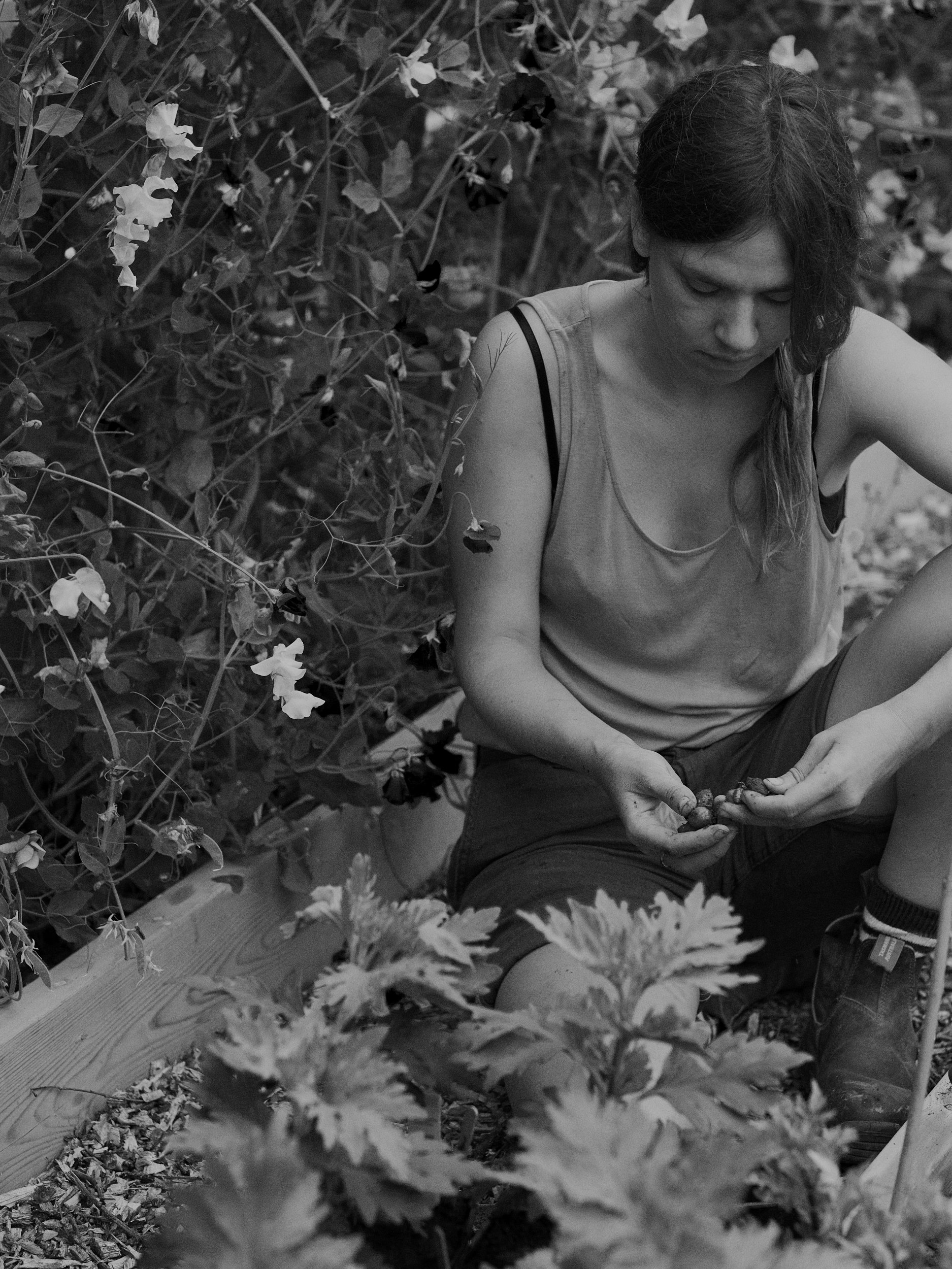 Fern Verrow
