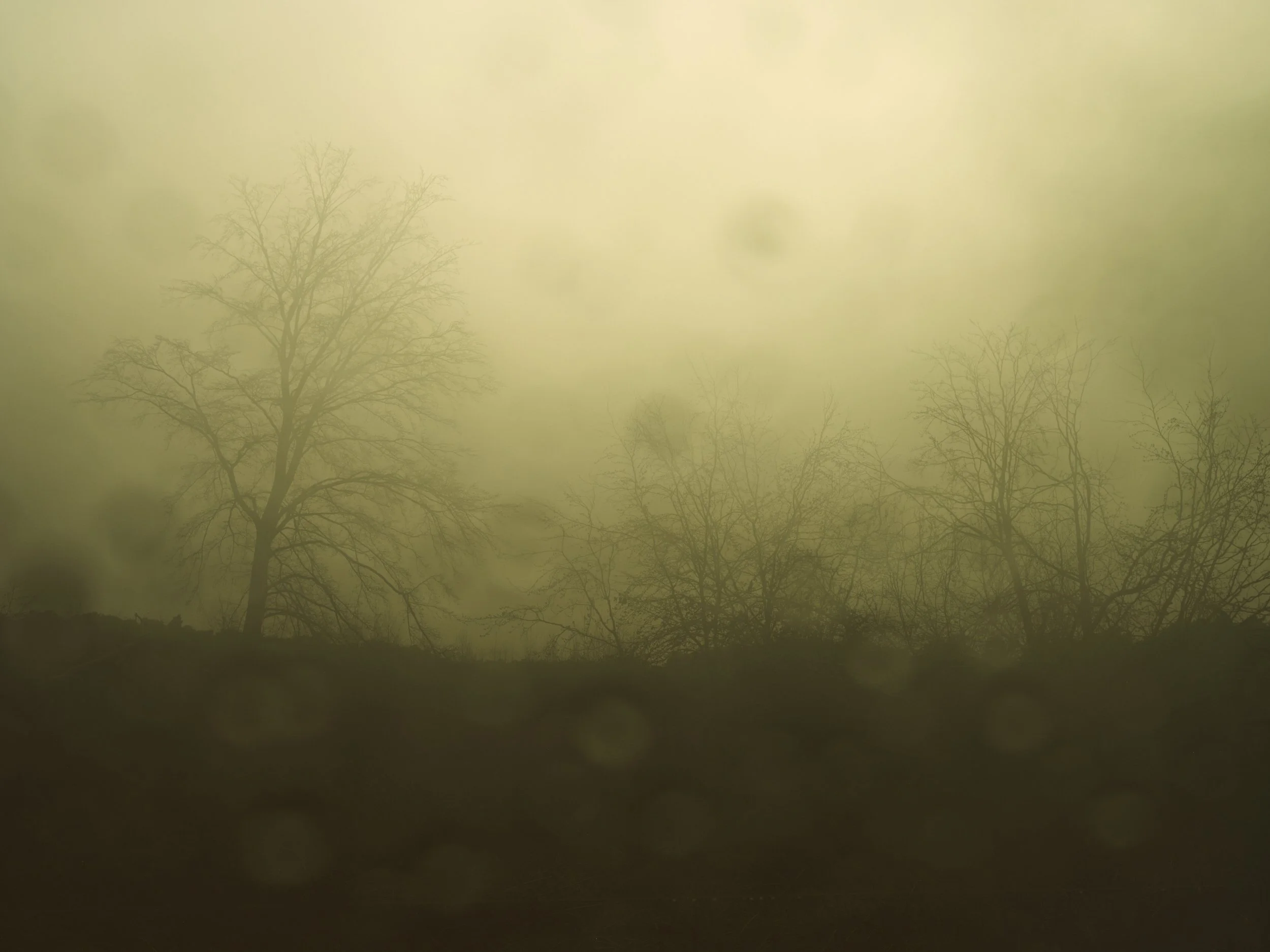 080224_Norfolk_Landscape_0164.jpg