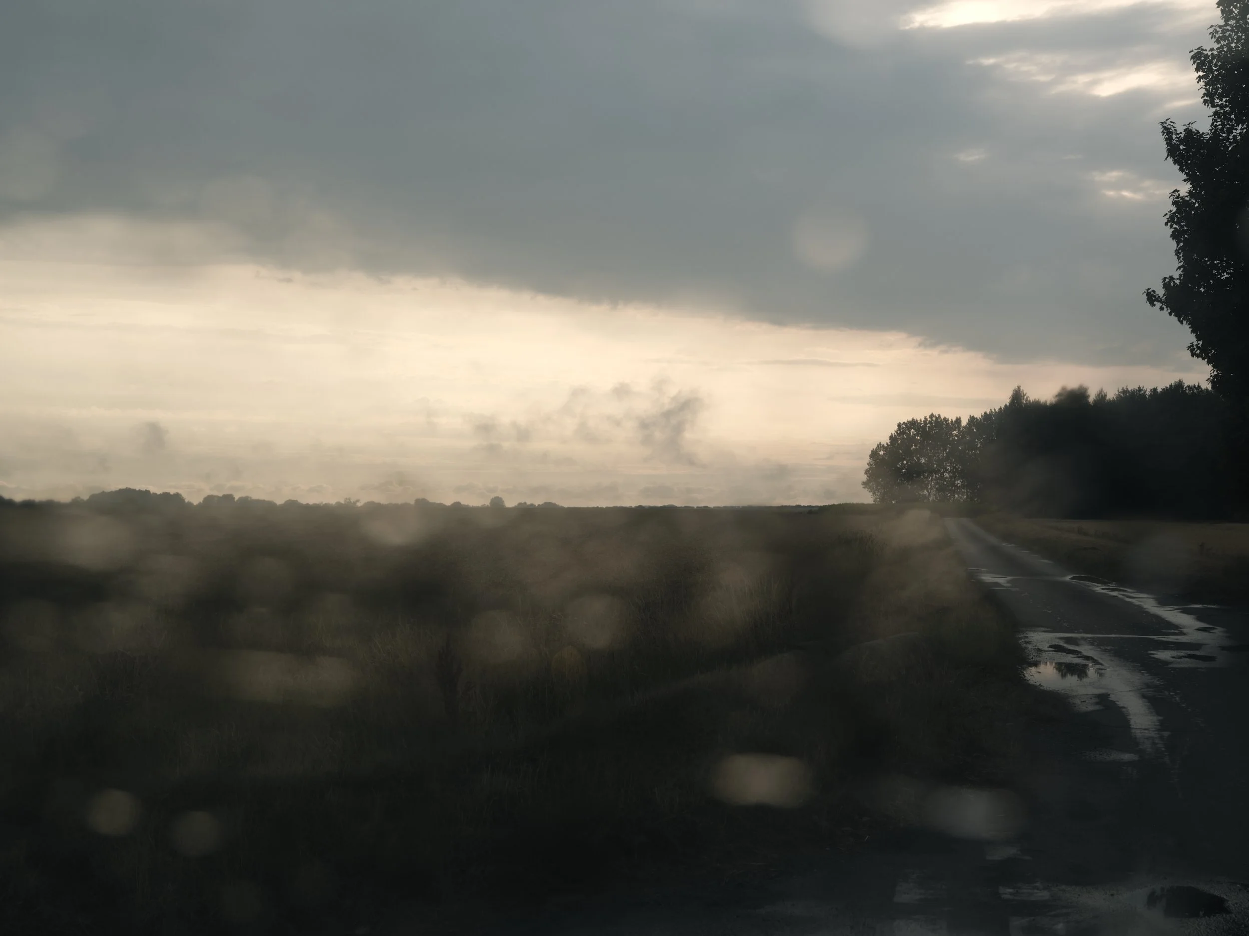 190725_Norfolk_Landscape_0049.jpg