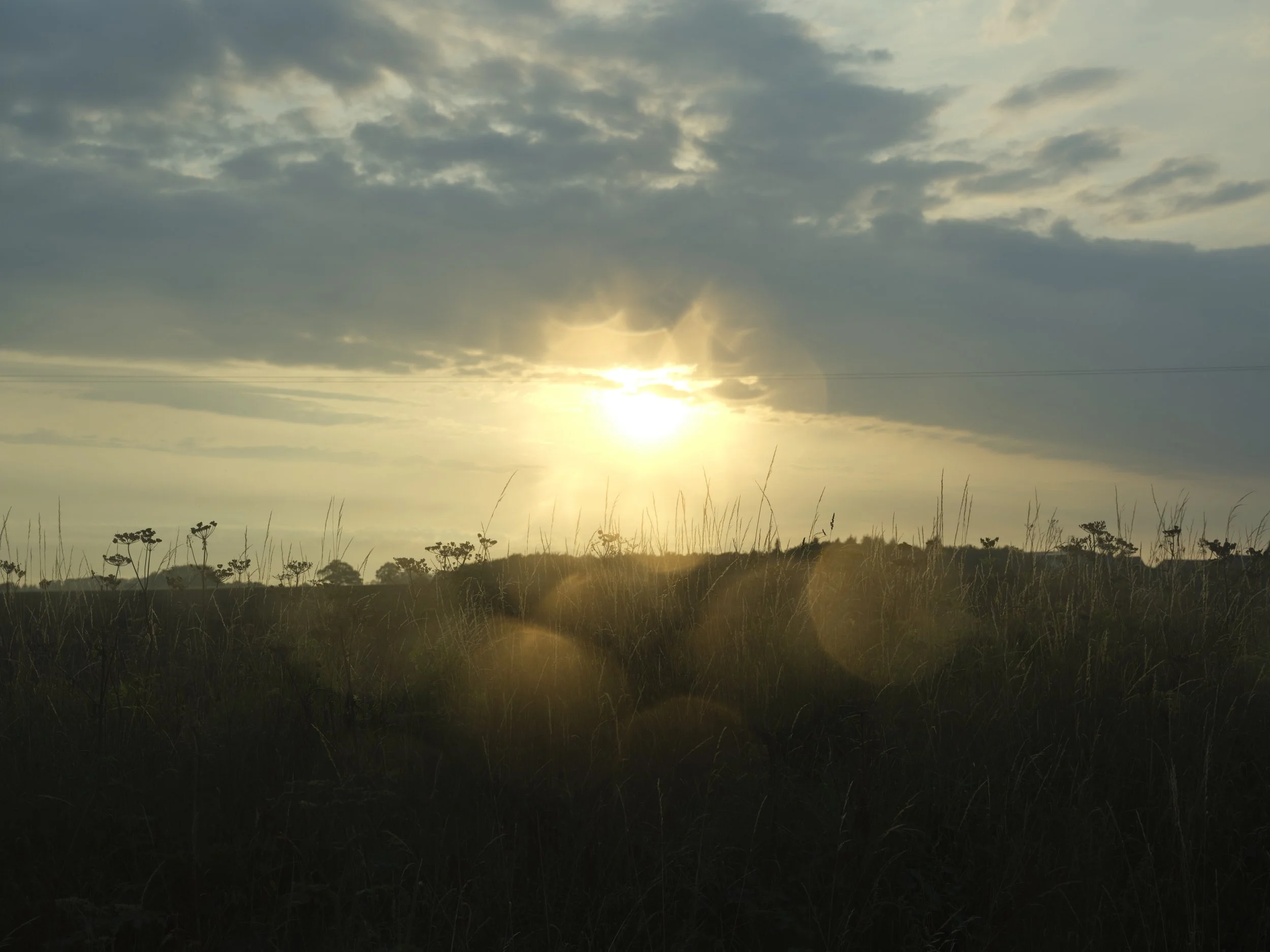 190725_Norfolk_Landscape_0191.jpg