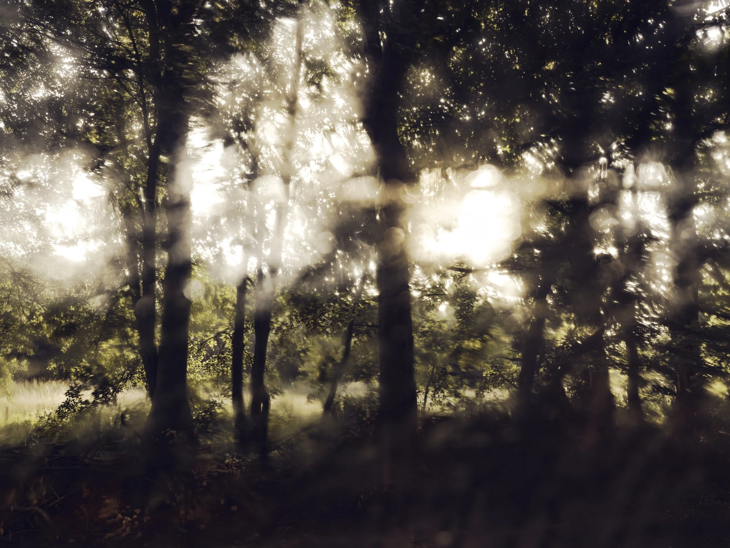 250725_Norfolk_Landscape_0316.jpg
