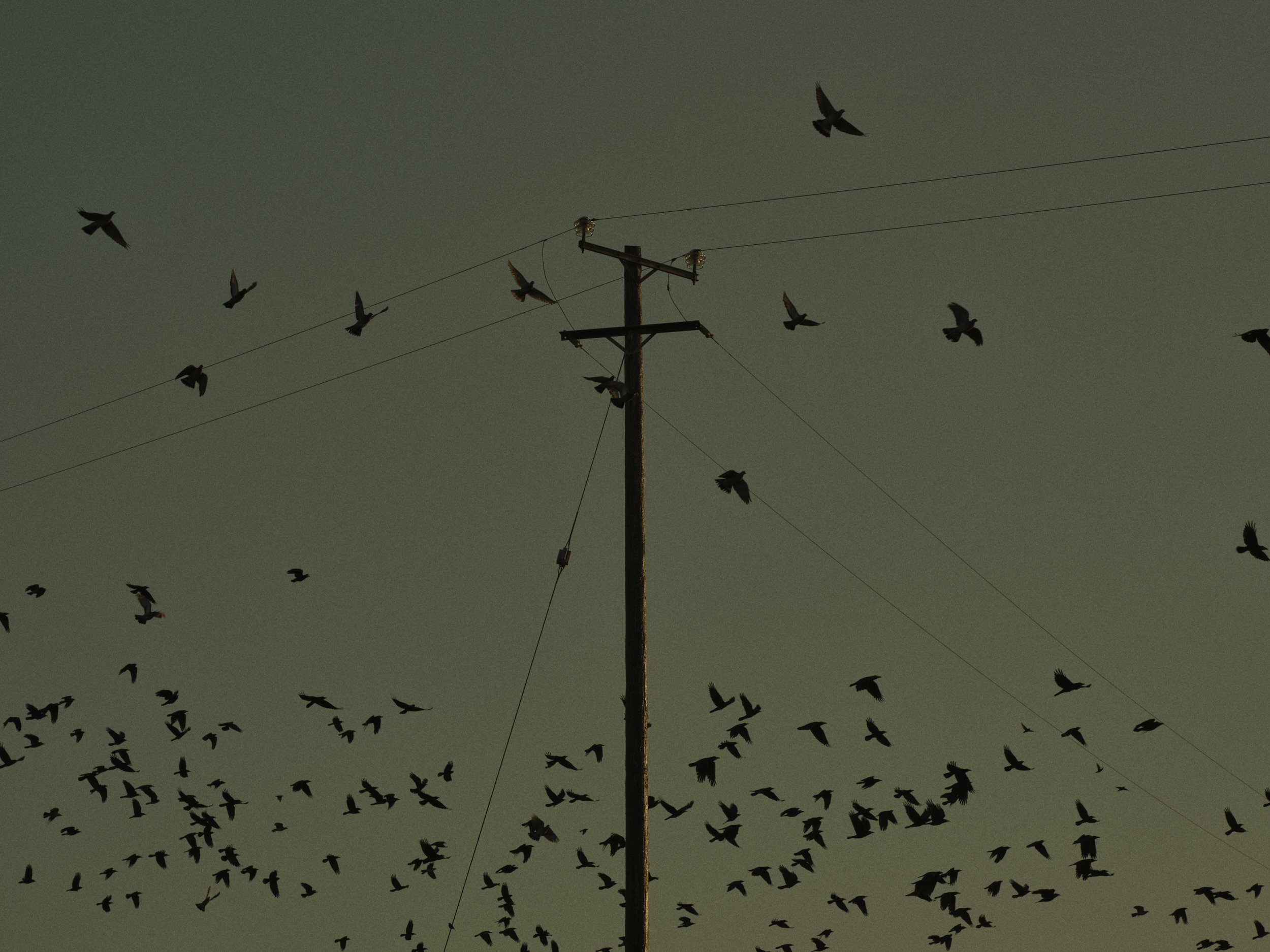  Galley Head, Co Cork - Ireland 