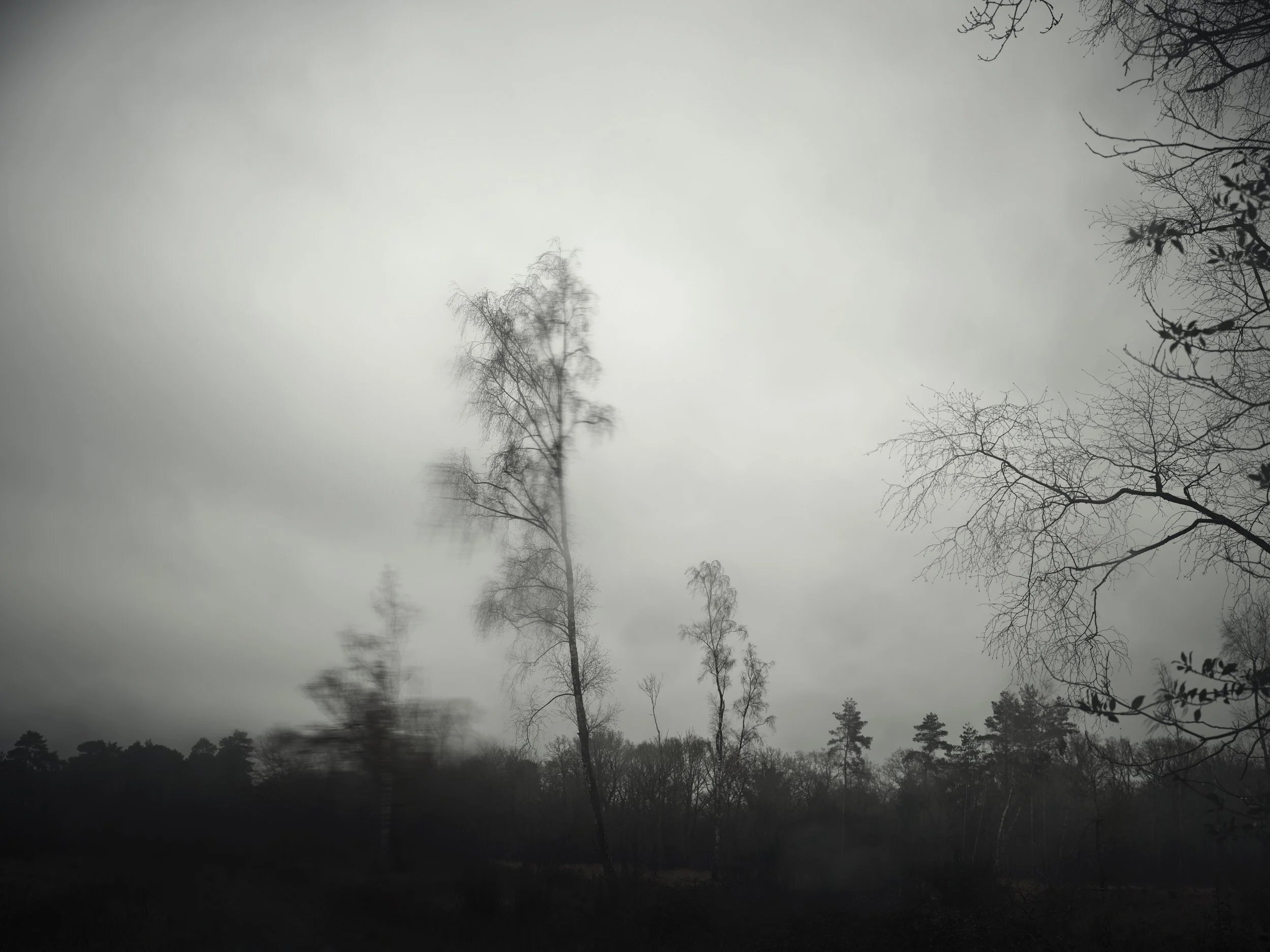  Darkness Has Fast Hands #001 