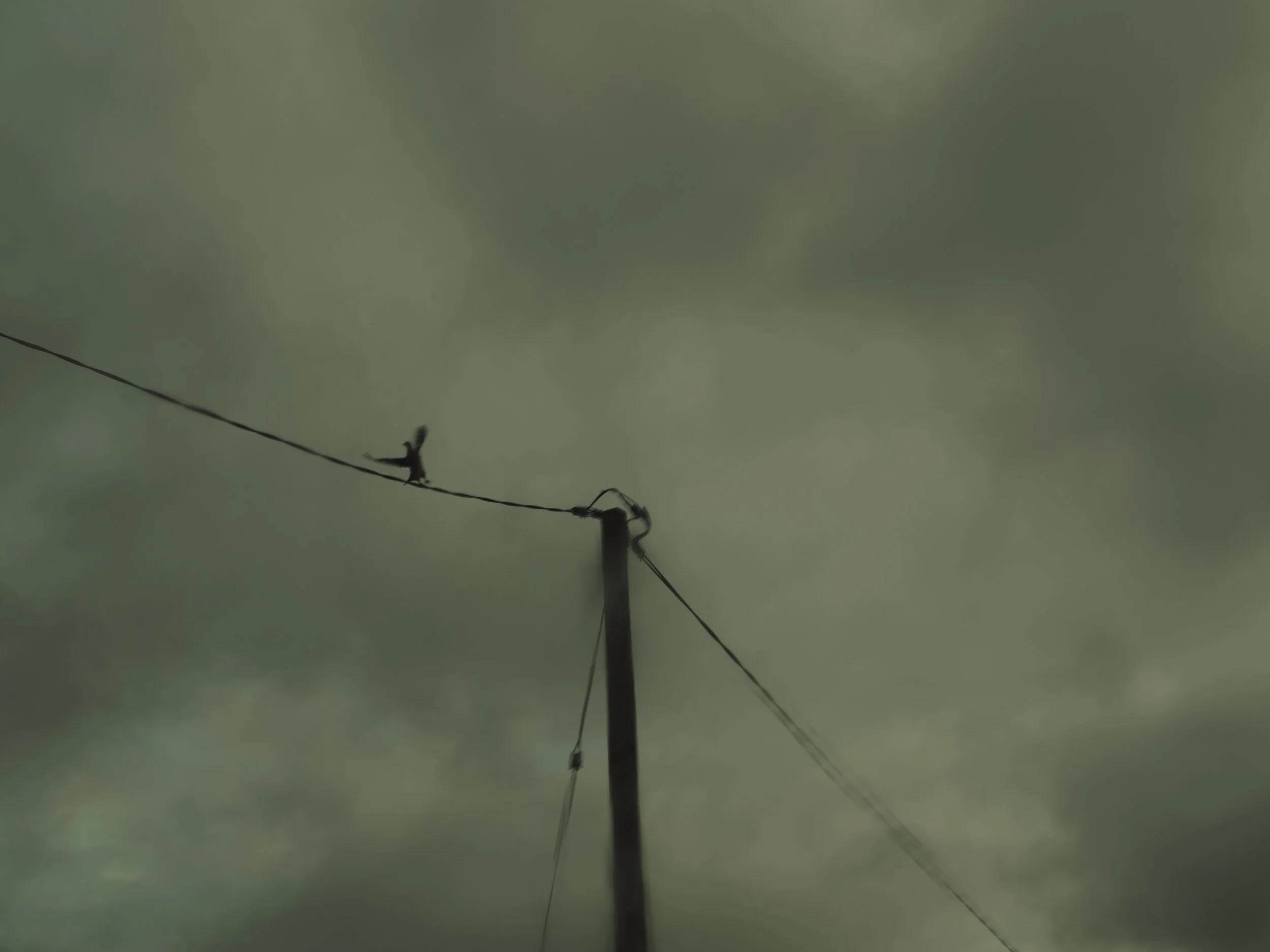  Darkness has fast hands/ 