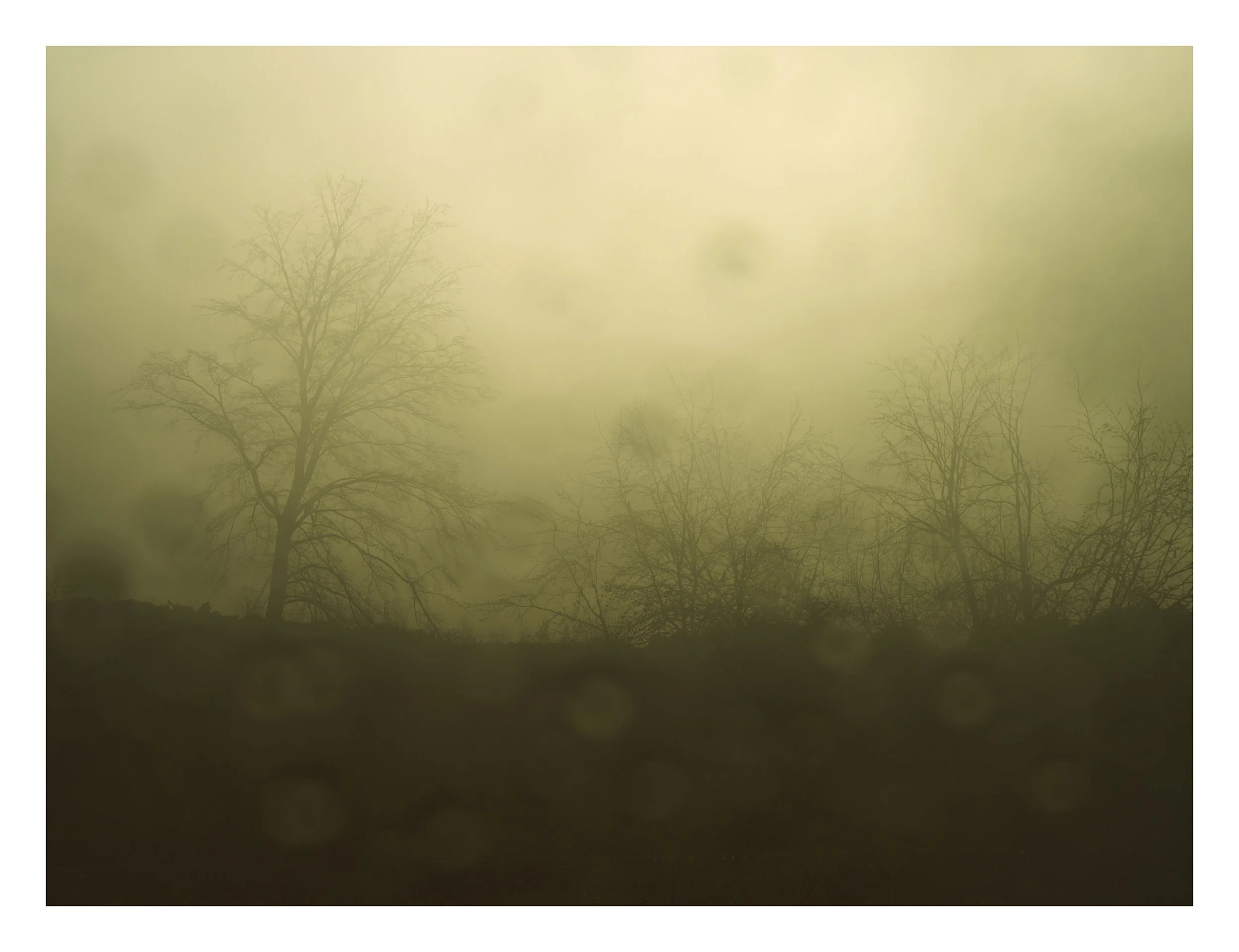 From here on in #003/