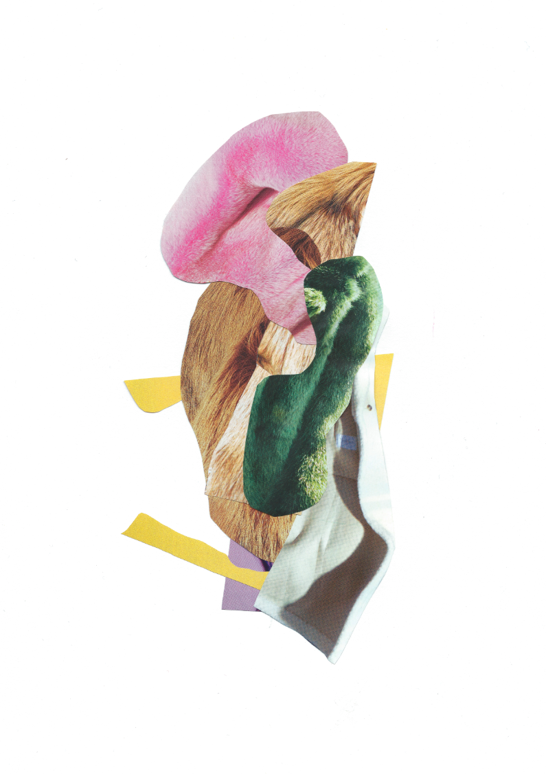 Maria Piessis_Fur the love of Collage_2018.png