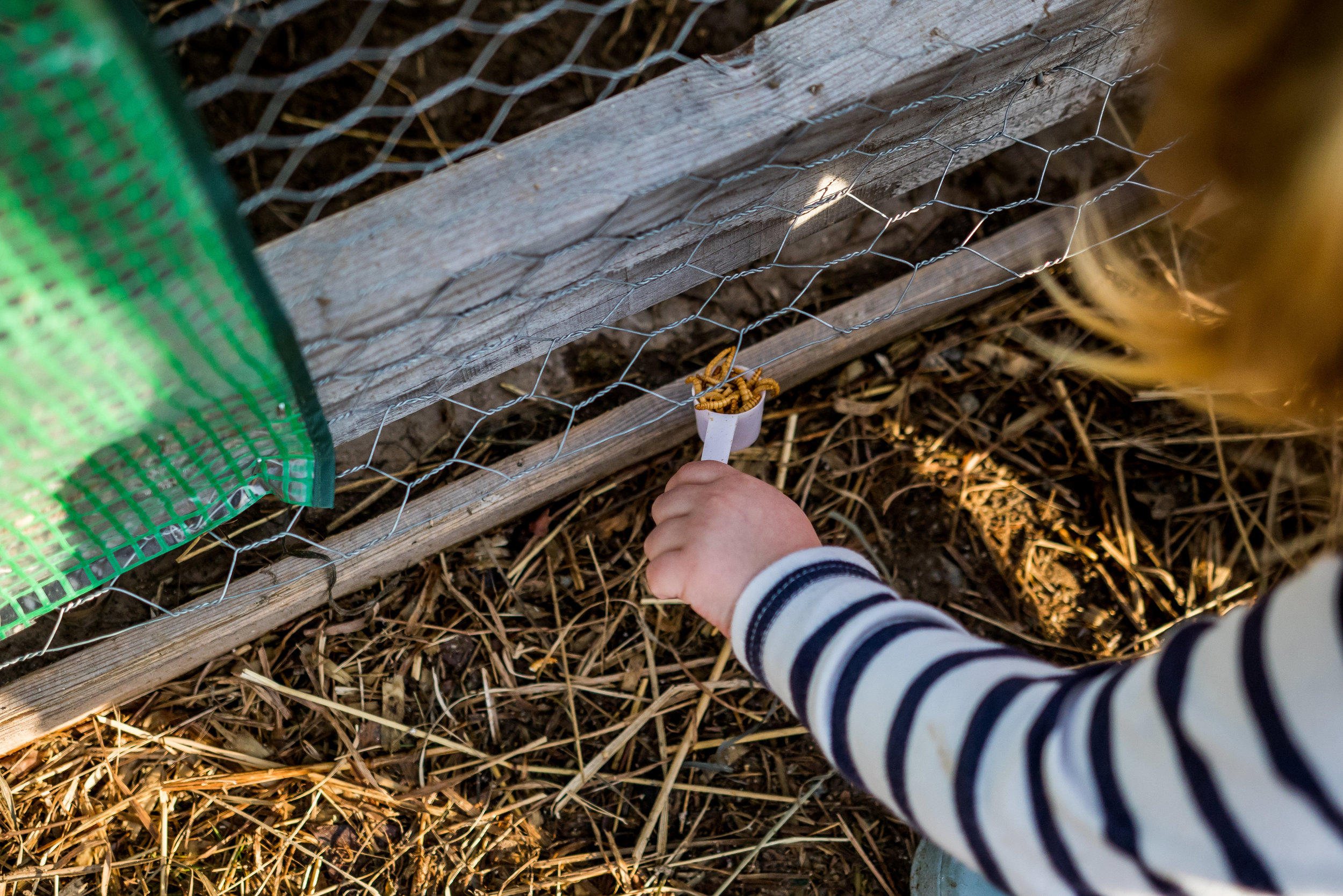 Indiana Family Photographer - M