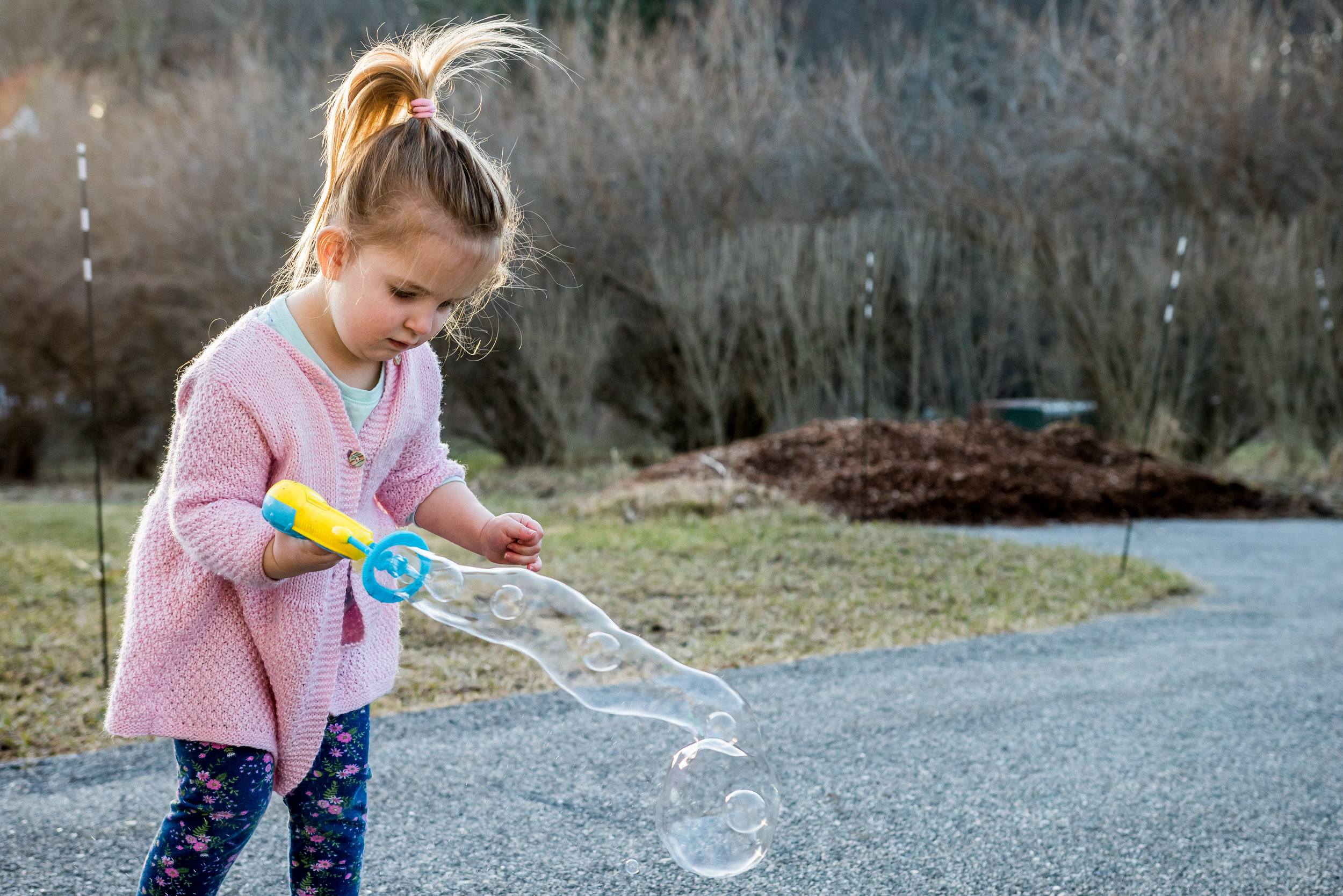 Indiana Family Photographer - M