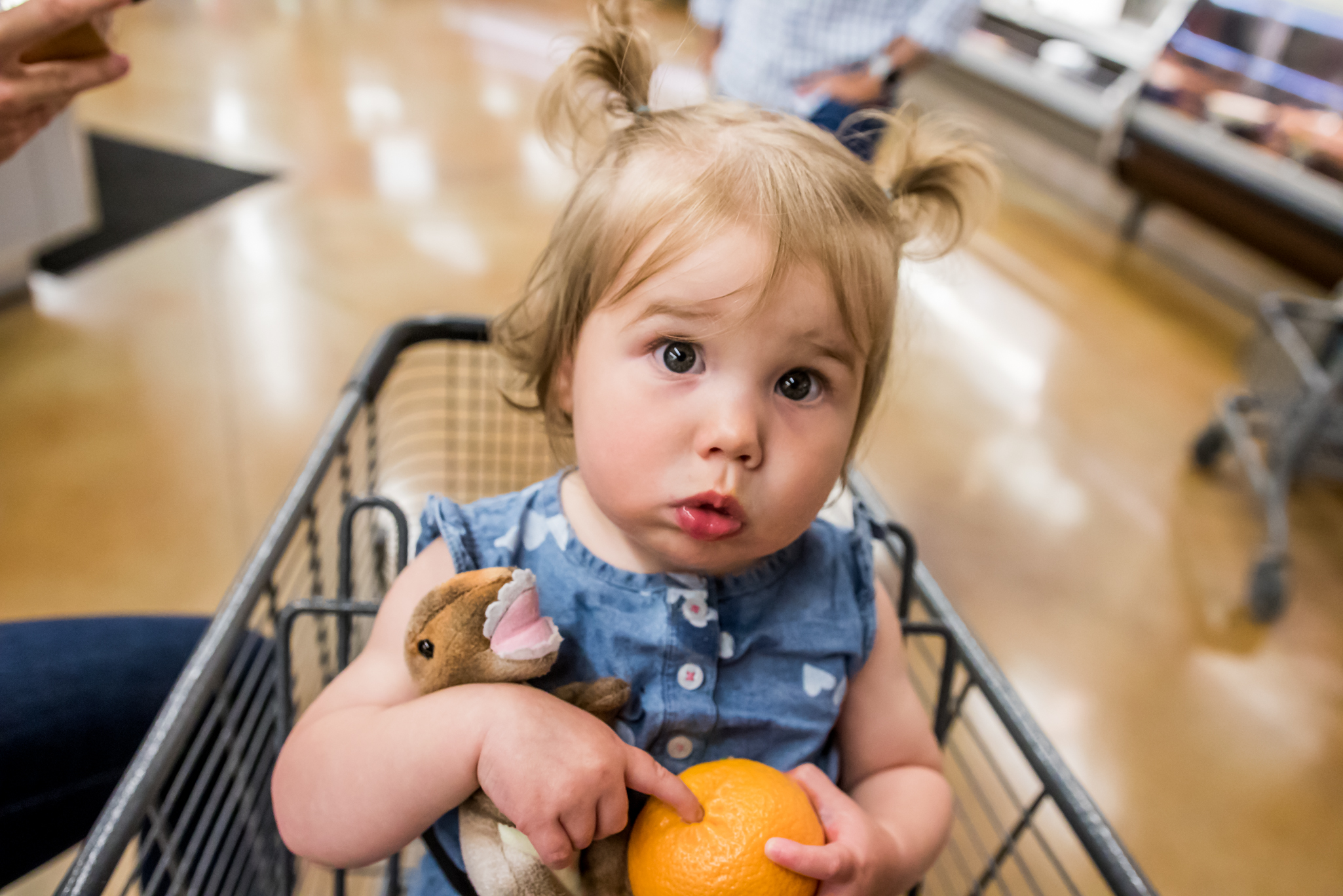 Indiana Family Photographer - Hahn