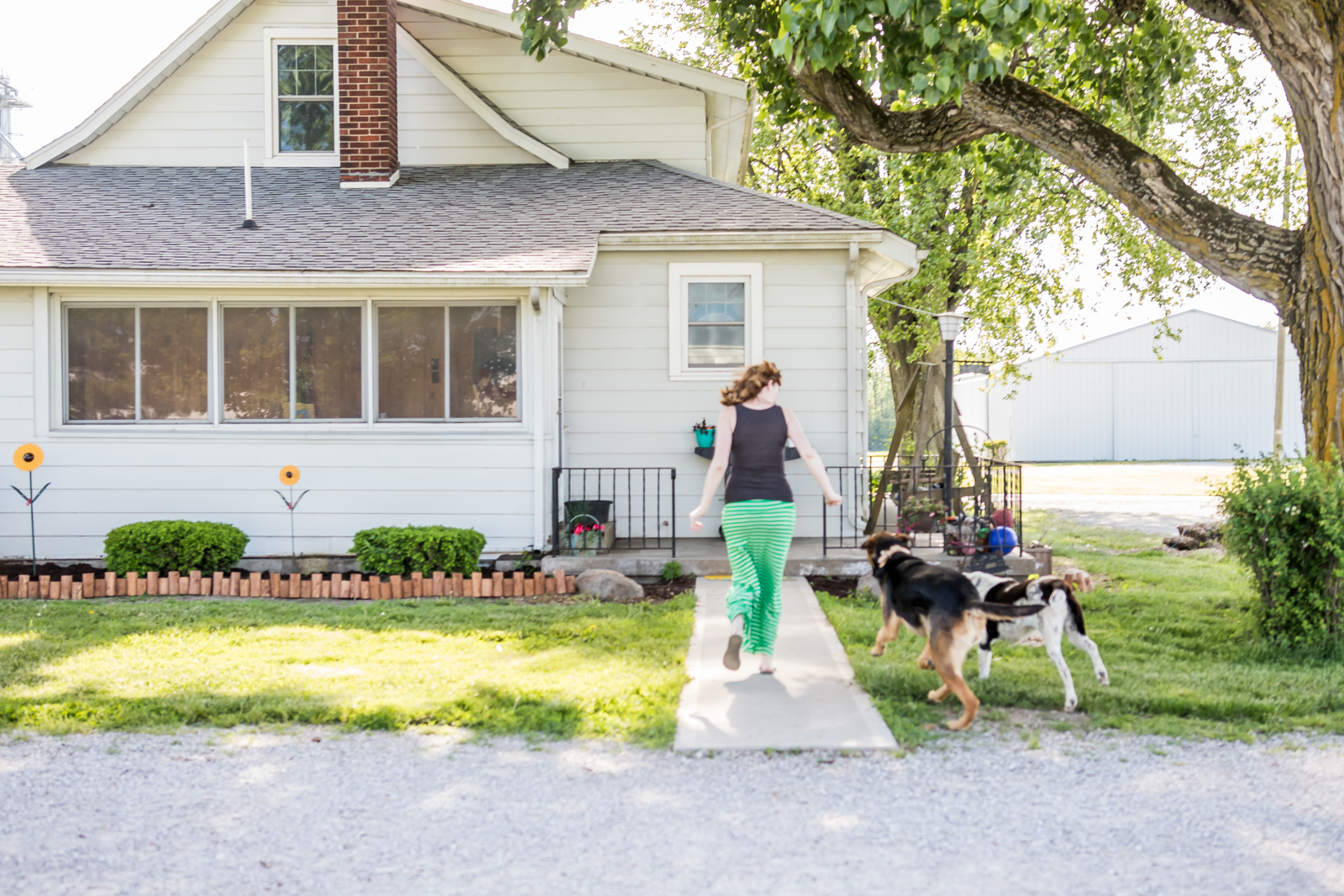 Indiana Pet Photographer - A