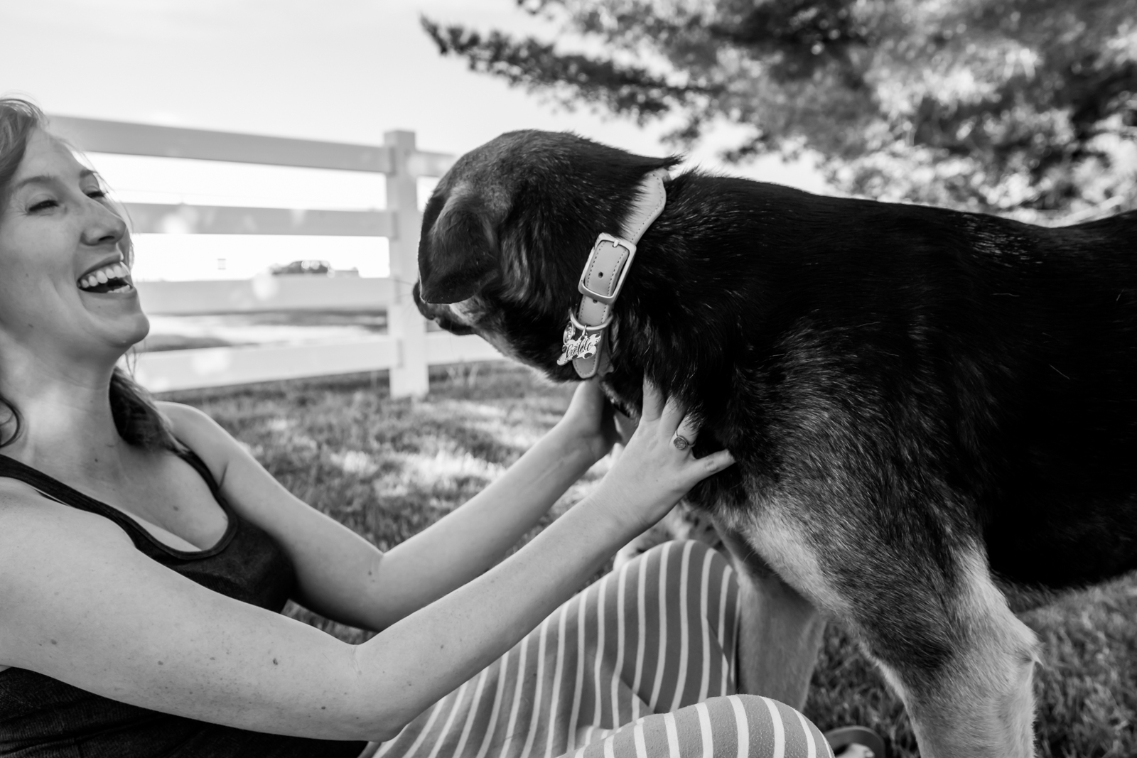 Indiana Pet Photographer - A