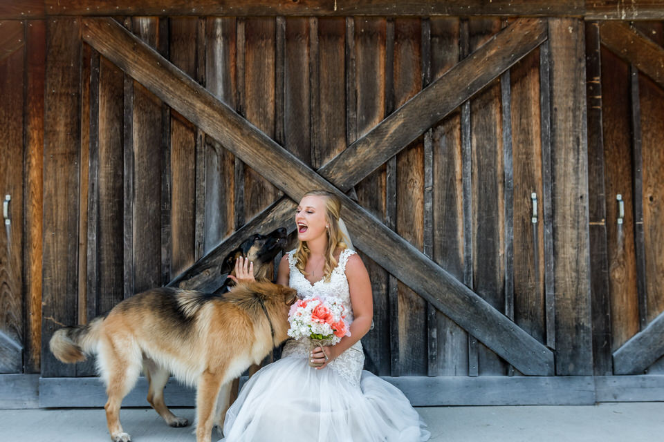 419Avon-Wedding-Country-Dogs.JPG