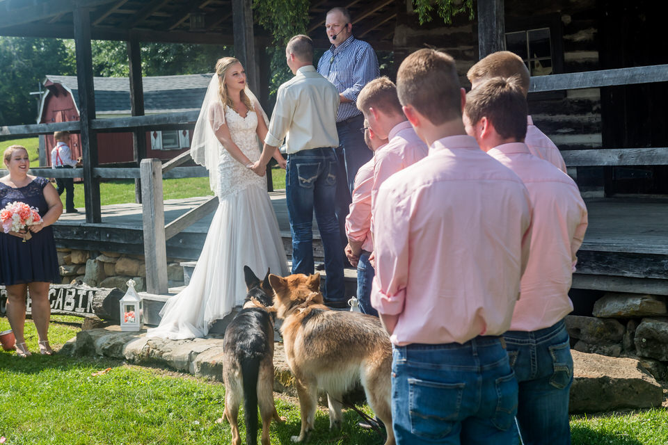 741Avon-Wedding-Country-Dogs.JPG
