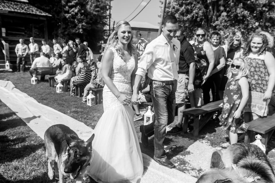 790Avon-Wedding-Country-Dogs.JPG