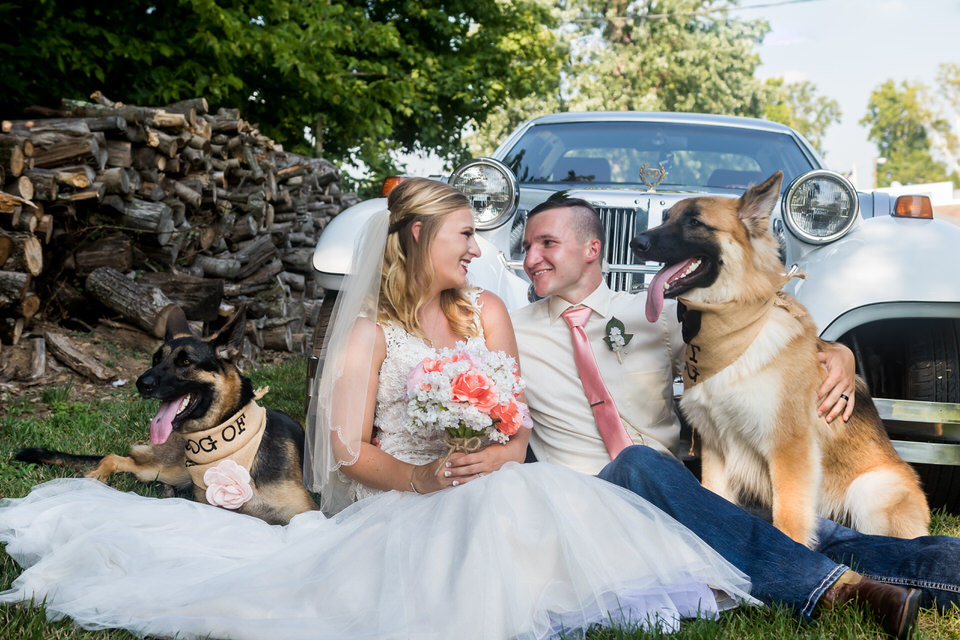  A bride and groom pose for a photo with their dogs at Bridgeton Barn 