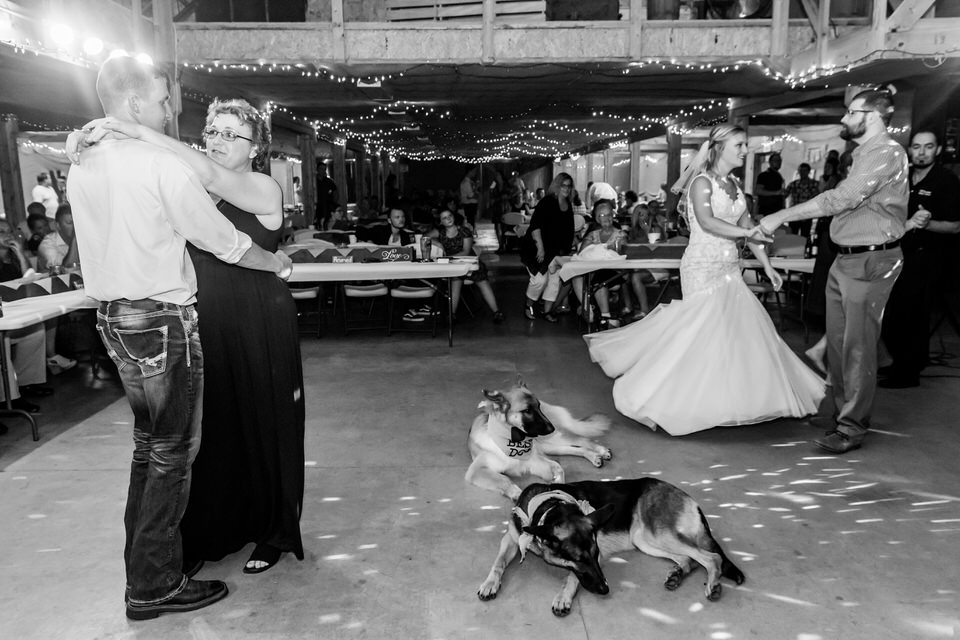 1424Avon-Wedding-Country-Dogs.JPG