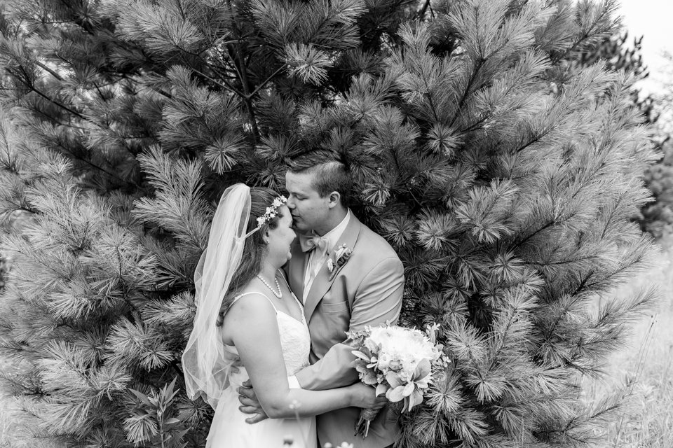 Backyard Wedding Photographer in Indiana - M6074.JPG